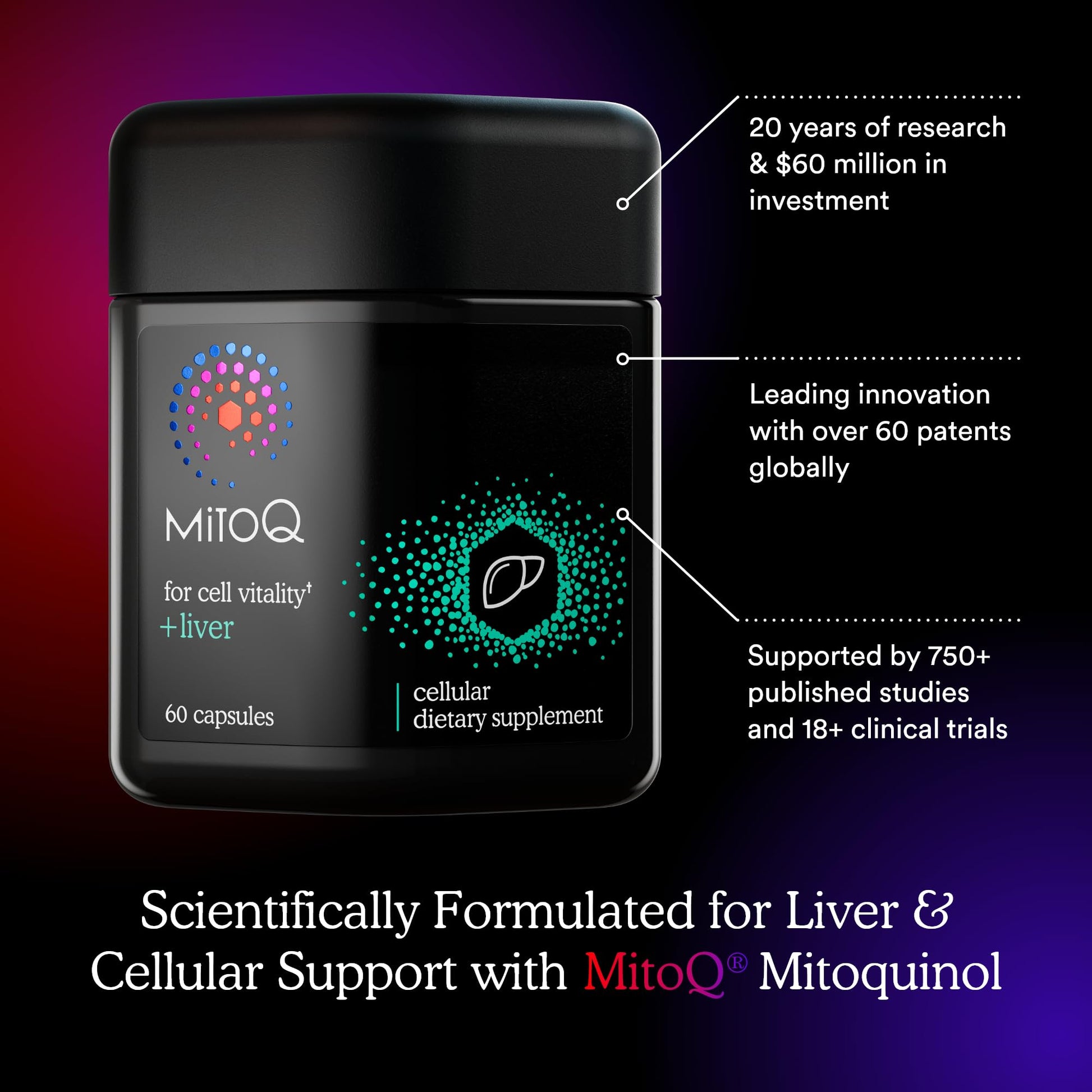 MitoQ +Liver – Advanced Liver Supplement with Highly Bioavailable Milk Thistle, Choline, Selenium Mitoquinol – Supports Metabolism, Body’s Natural Detoxification & Liver Health – 60 Capsules MitoQ Au supplements