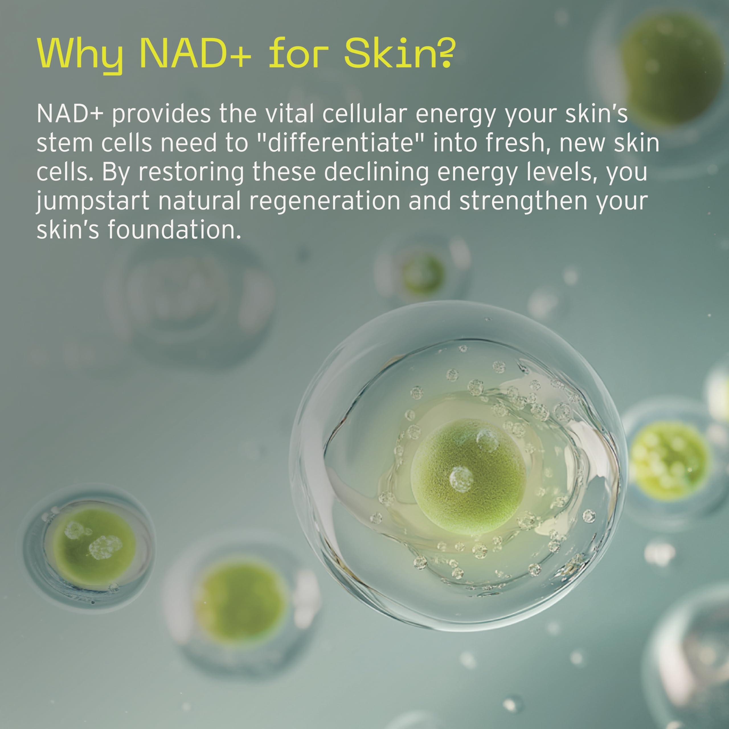 Aramore NAD+ Cell Energizing Skin Care Treatment with Proprietary NAD+ Precursor Complex, Clinically Proven to Target 12 Signs of Aging - 15ml Aramore Au supplements