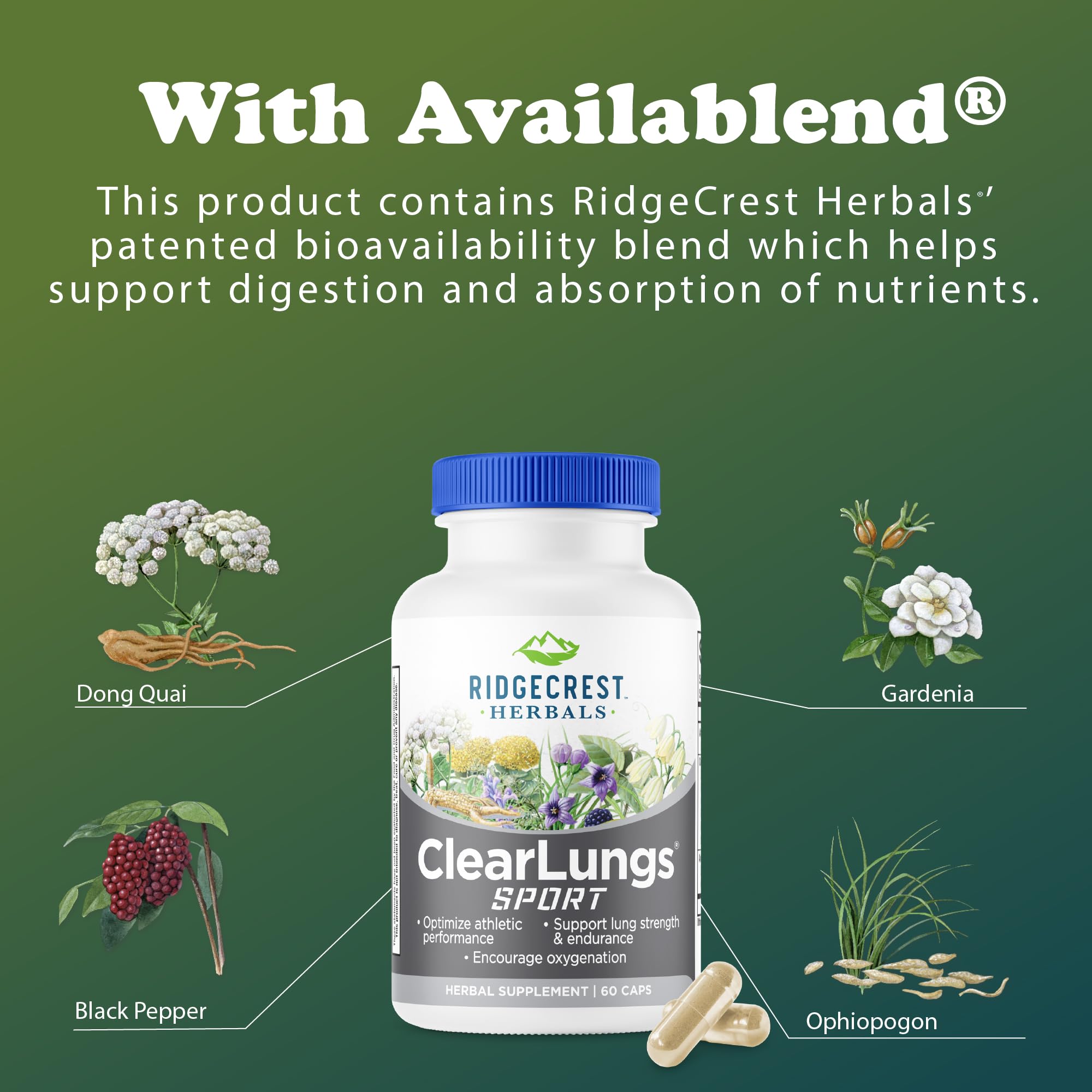 Ridgecrest Herbals ClearLungs Sport, Oxygen Intake and Lung Support Formula with Cordyceps, Rhodiola, Eleuthero (60 Vegan Caps, 30 Serv) RidgeCrest Herbals Au supplements
