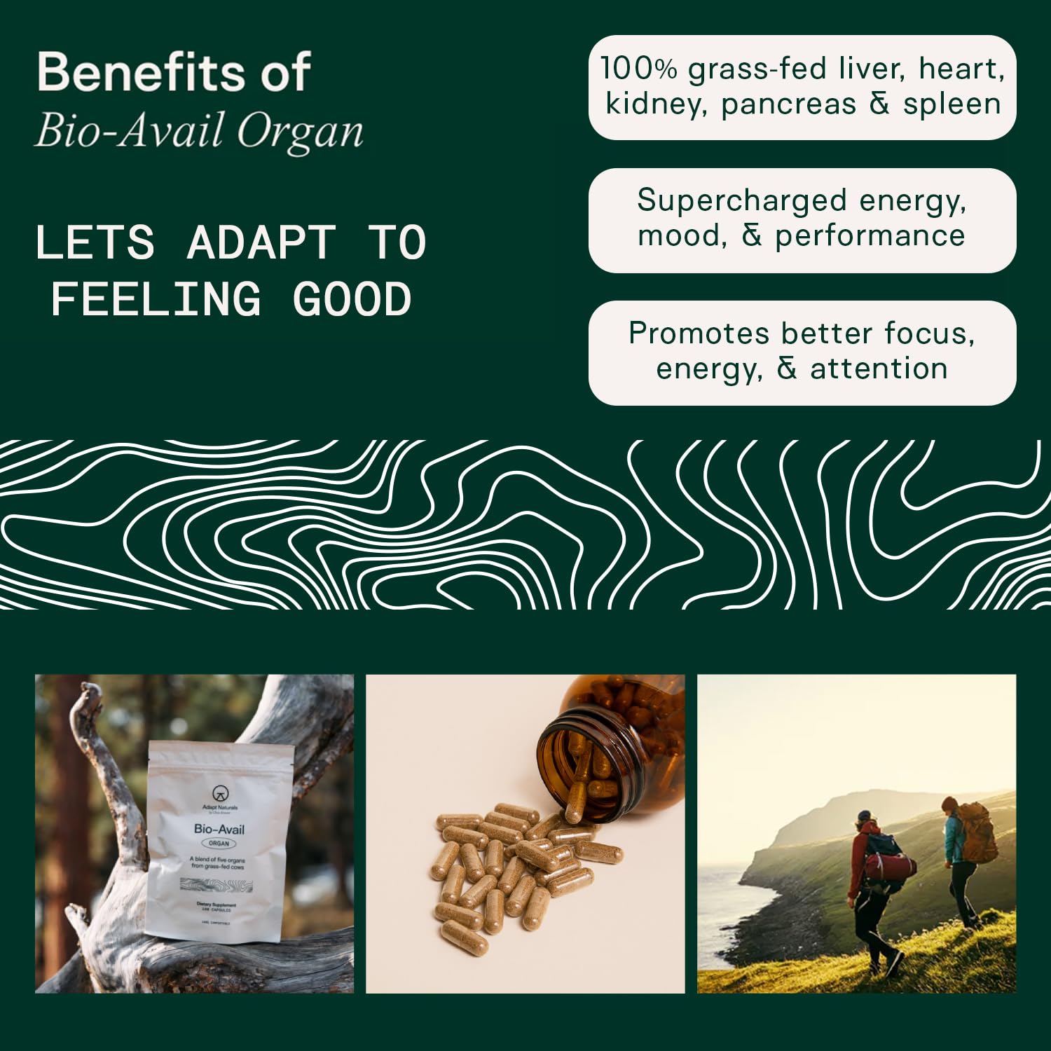 Adapt Naturals Organ Supplement, Bioavailable Grass Fed Beef Liver Capsules, Blend of Liver, Heart, Kidney, Pancreas & Spleen, Support Liver Cleanse Detox & Repair | Source of CoQ10-30 Days Supply ADAPT NATURALS BY CHRIS KRESSER Au supplements