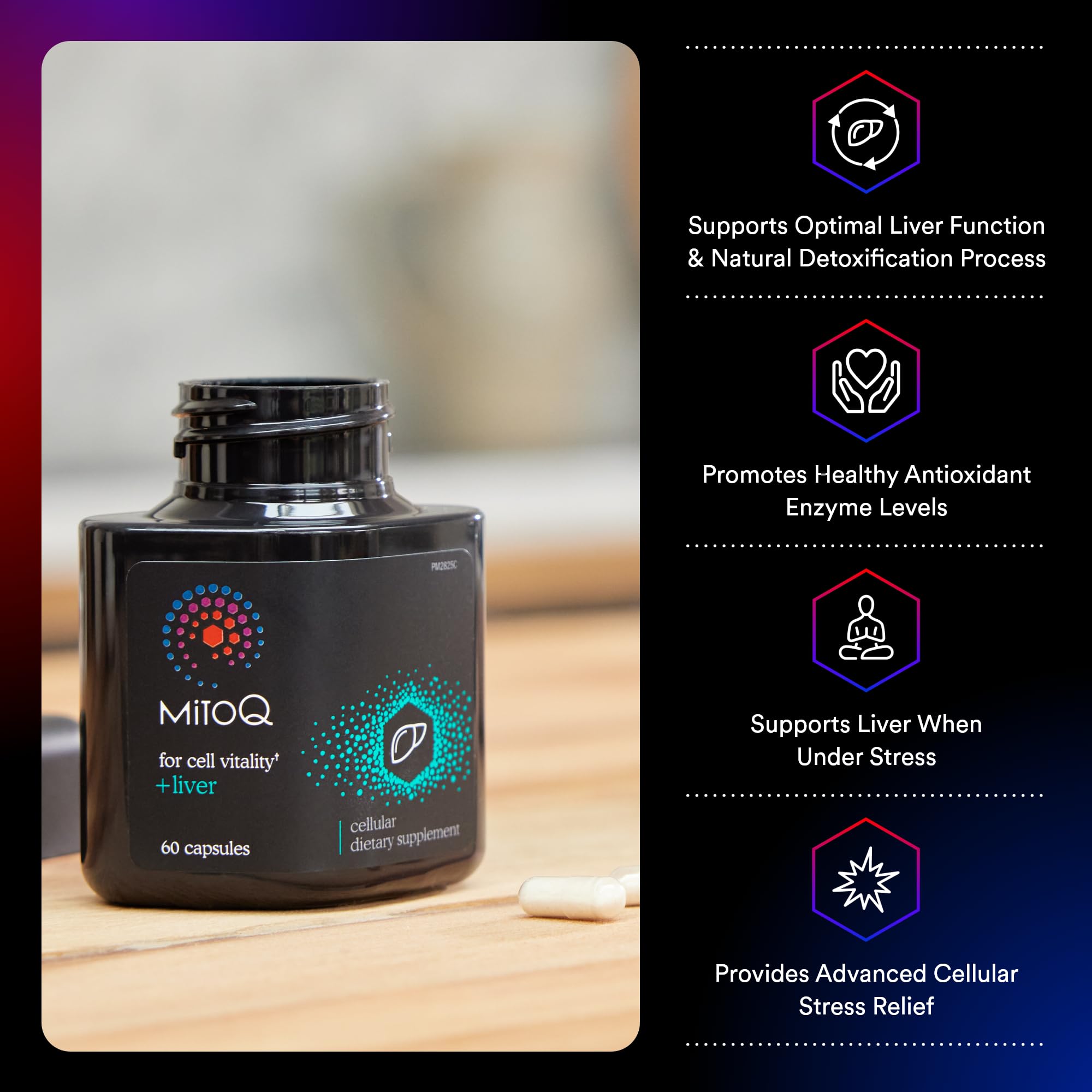 MitoQ +Liver – Advanced Liver Supplement with Highly Bioavailable Milk Thistle, Choline, Selenium Mitoquinol – Supports Metabolism, Body’s Natural Detoxification & Liver Health – 60 Capsules MitoQ Au supplements