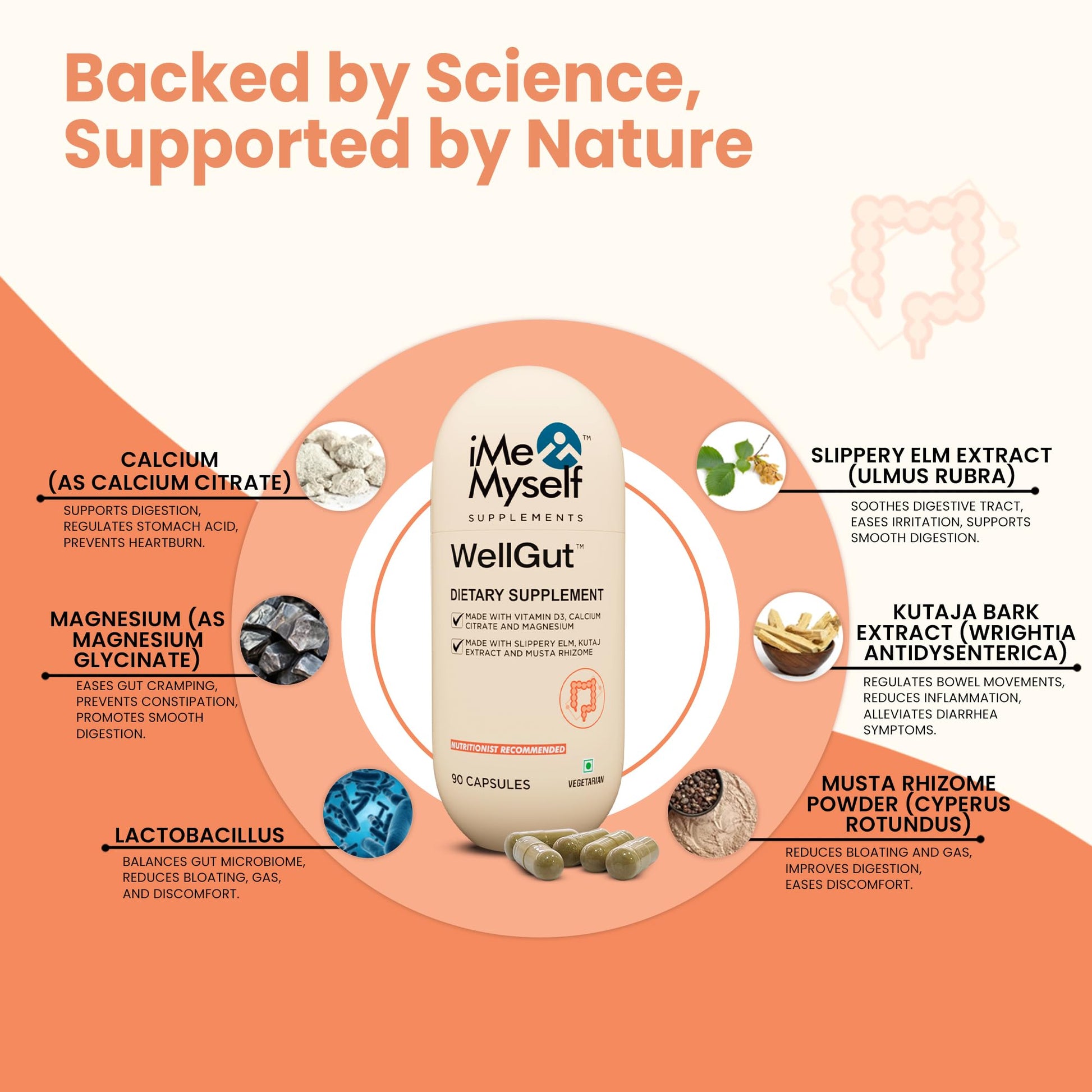iMeMyself WellGut Daily Herbal Supplement | Traditional Herbs with Minerals & Probiotics 90 Vegan Capsules iMeMyself Au supplements