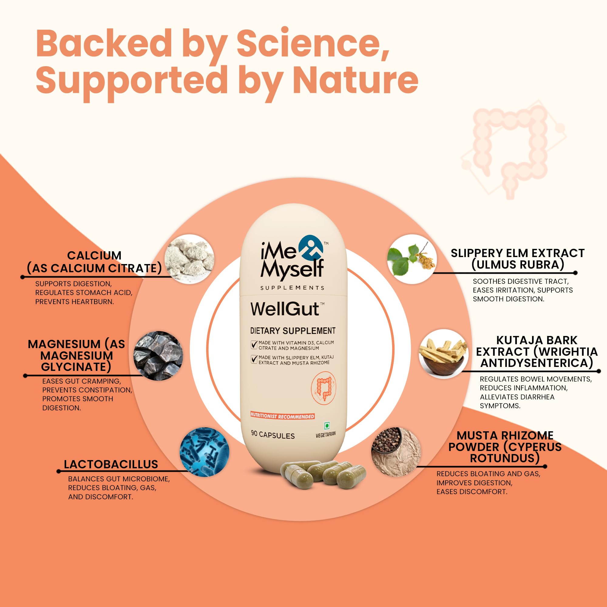 iMeMyself WellGut Daily Herbal Supplement | Traditional Herbs with Minerals & Probiotics 90 Vegan Capsules iMeMyself Au supplements