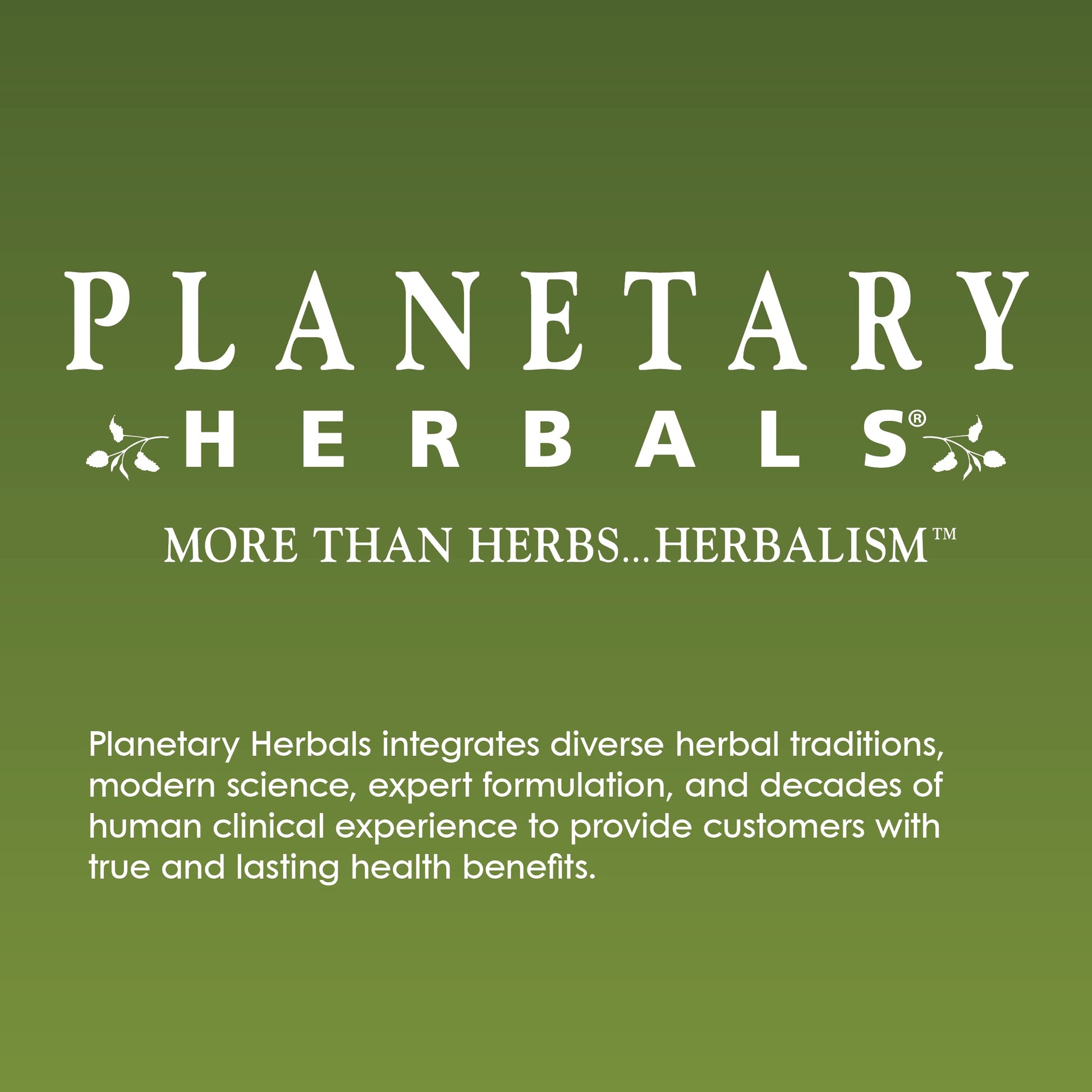 Planetary Herbals Willow Aid Tablets, 60 Count Planetary Herbals Au supplements