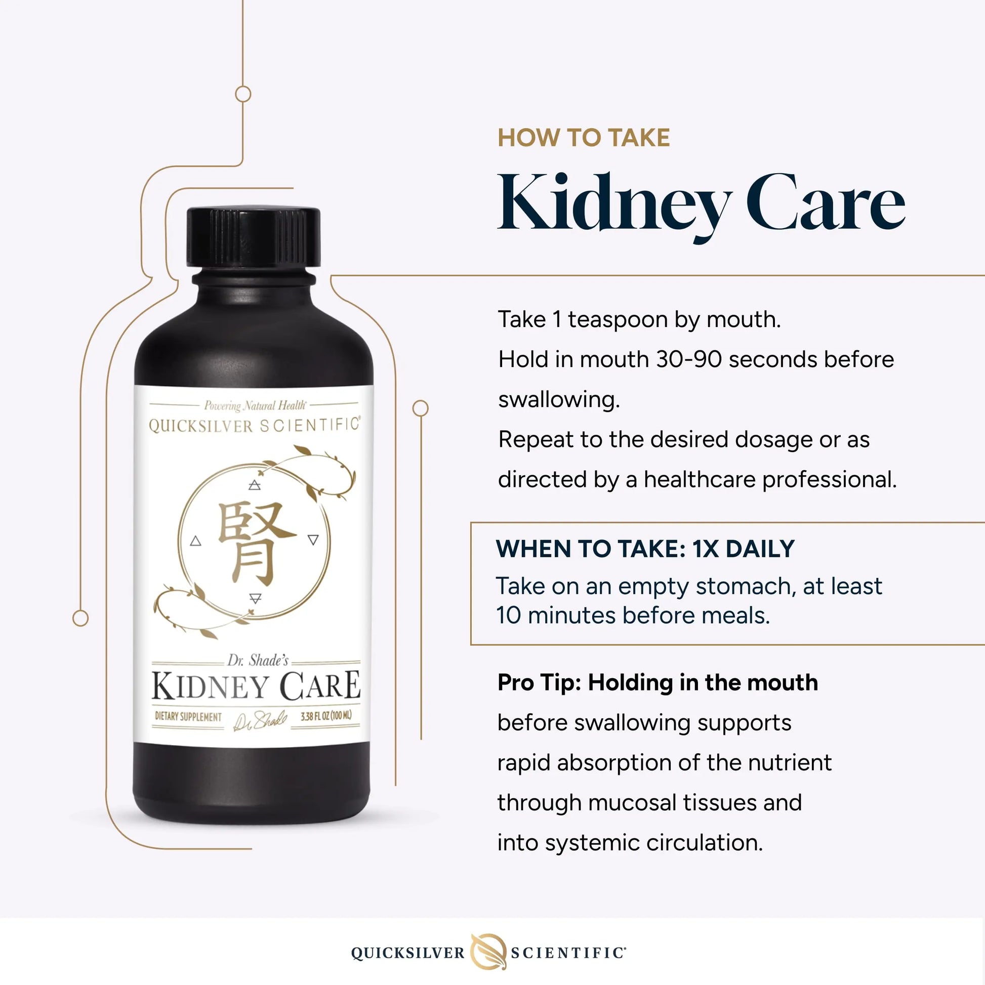 Quicksilver Scientific Kidney Care - Kidney Cleanse & Lymphatic Drainage Supplements - Astragaloside IV Extract, Zhu Ling, Goldenrod, Ferulic Acid, He Shou Wu & Dandelion Leaf (3.38oz / 100ml) Quicksilver Scientific Au supplements
