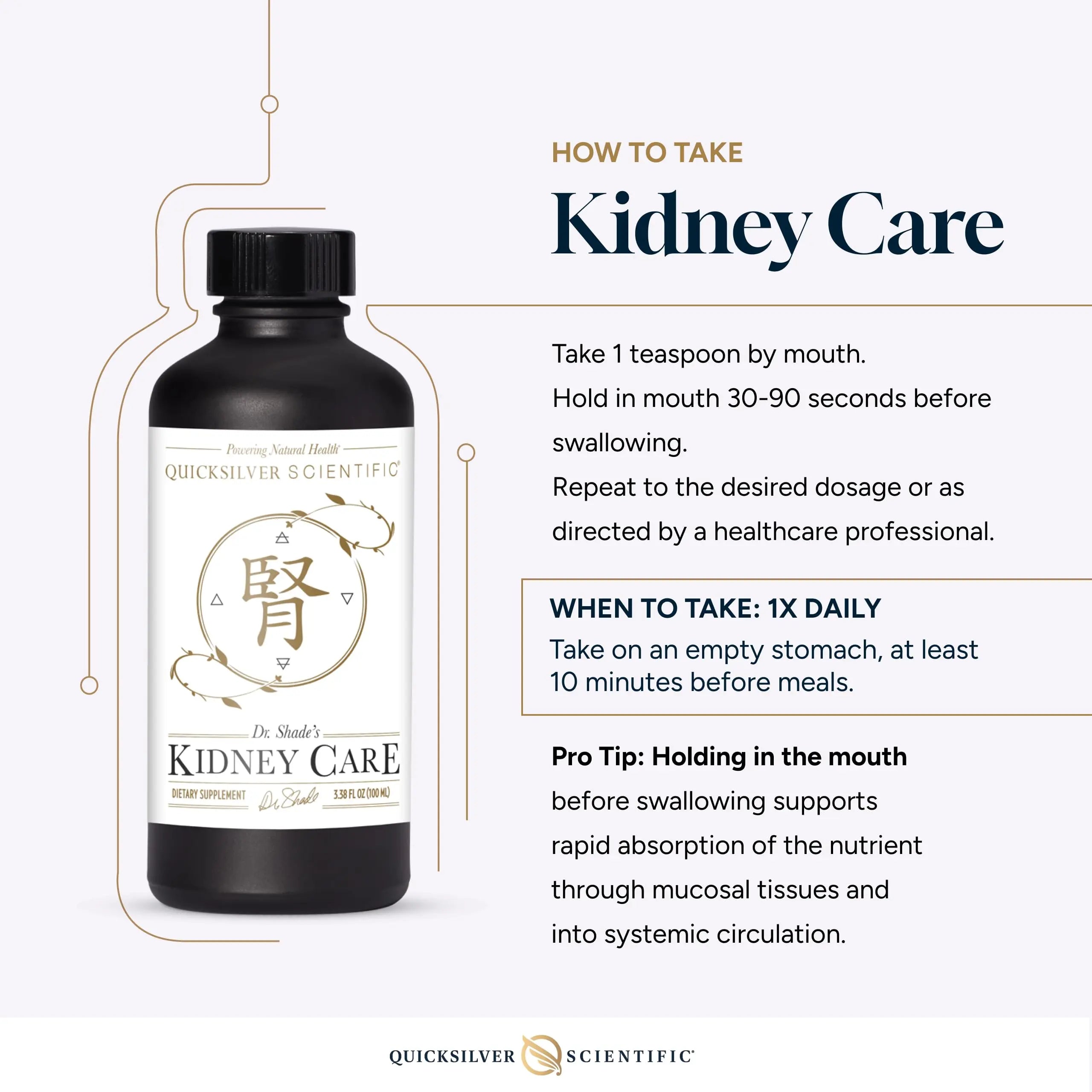 Quicksilver Scientific Kidney Care - Kidney Cleanse & Lymphatic Drainage Supplements - Astragaloside IV Extract, Zhu Ling, Goldenrod, Ferulic Acid, He Shou Wu & Dandelion Leaf (3.38oz / 100ml) Quicksilver Scientific Au supplements