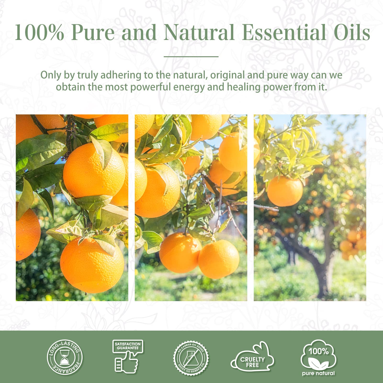 PHATOIL Sweet Orange Essential Oil 100ML, Pure Premium Grade Sweet Orange Essential PHATOIL Au supplements