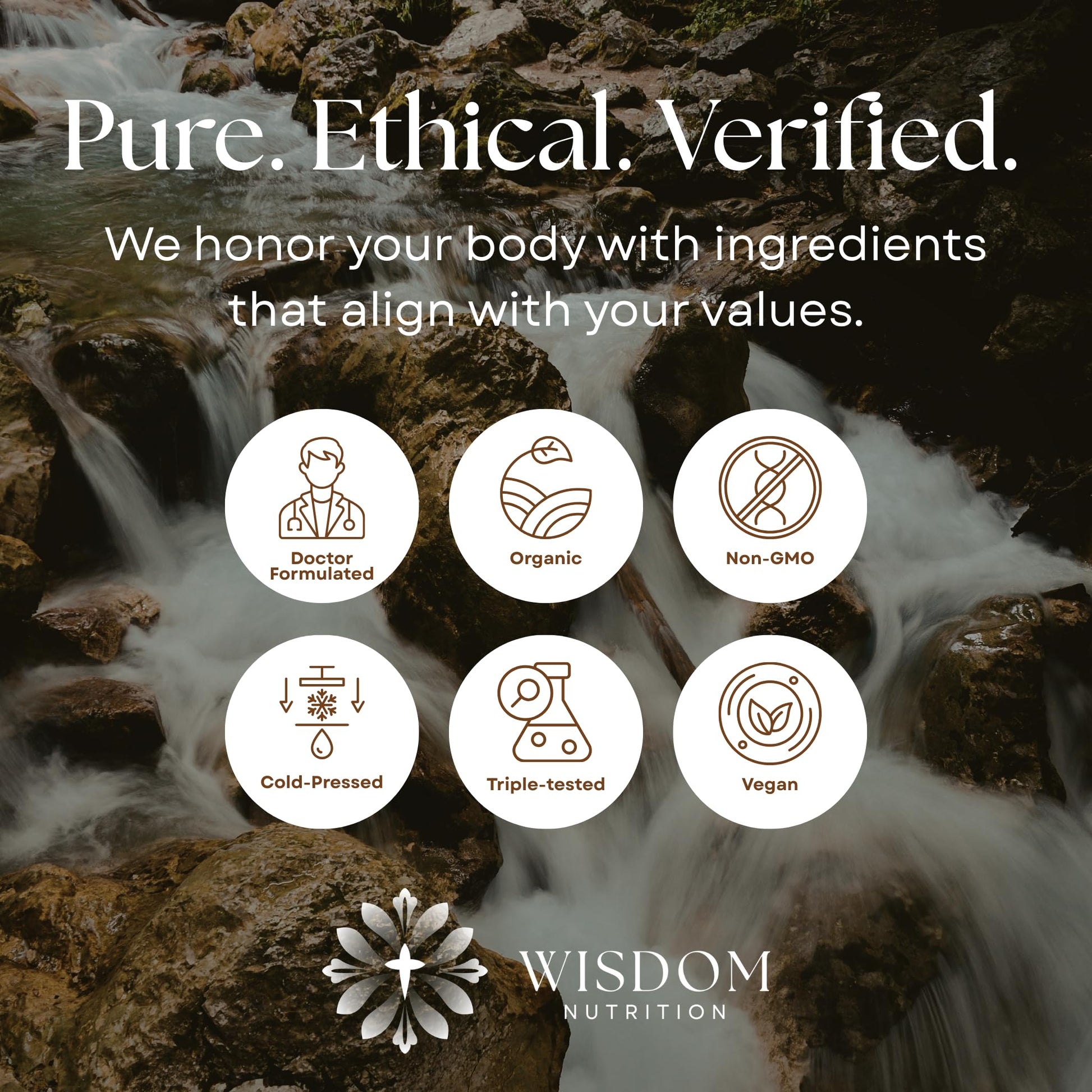 Organic Turmeric, Frankincense and Myrrh – Herbal Supplement Blend for Energy, Detox, Focus, Immunity & Stress – Non-GMO Vegan Tonic with Milk Thistle – Wisdom Bible Based Blend – 2oz Liquid Drops Wisdom Nutrition Au supplements