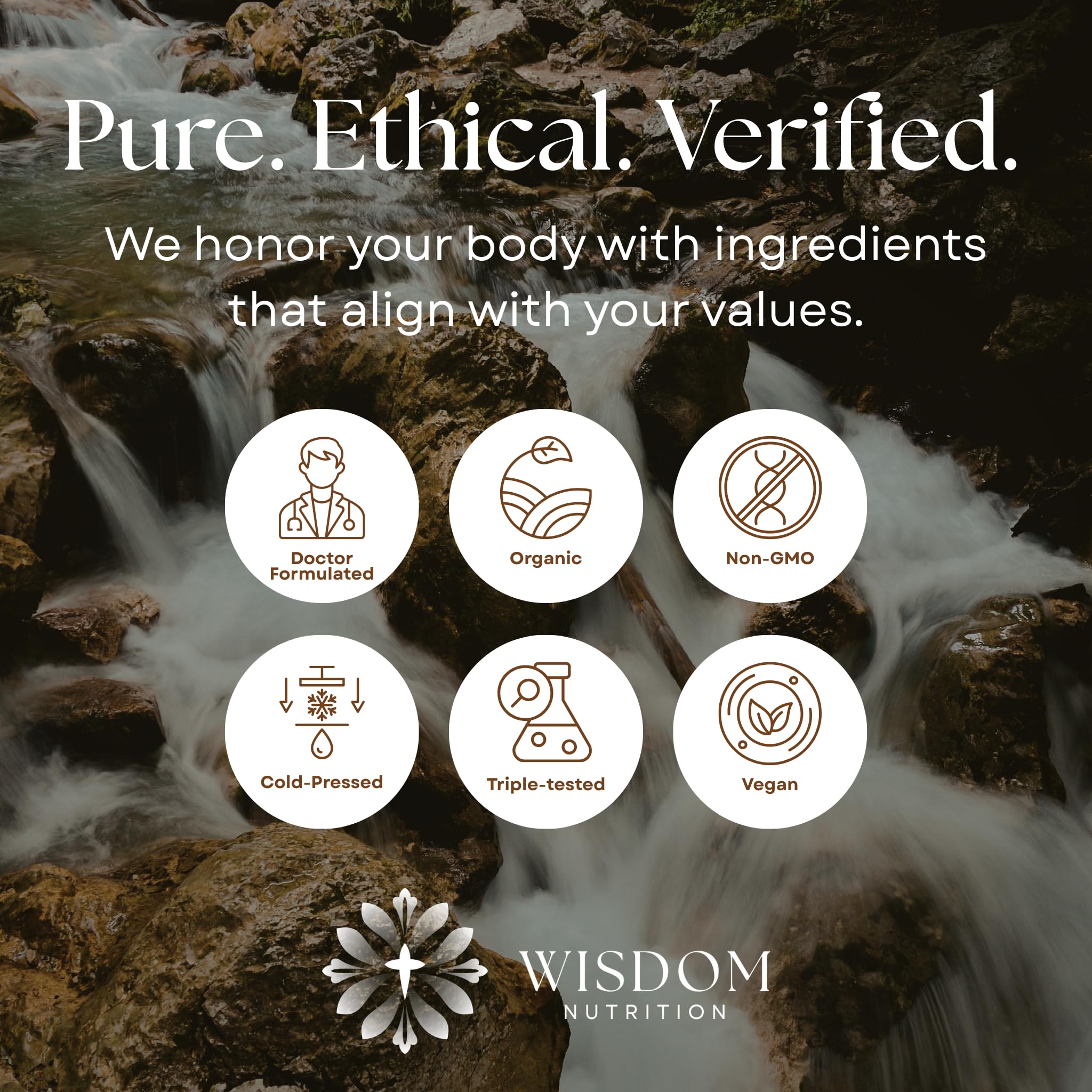 Organic Turmeric, Frankincense and Myrrh – Herbal Supplement Blend for Energy, Detox, Focus, Immunity & Stress – Non-GMO Vegan Tonic with Milk Thistle – Wisdom Bible Based Blend – 2oz Liquid Drops Wisdom Nutrition Au supplements