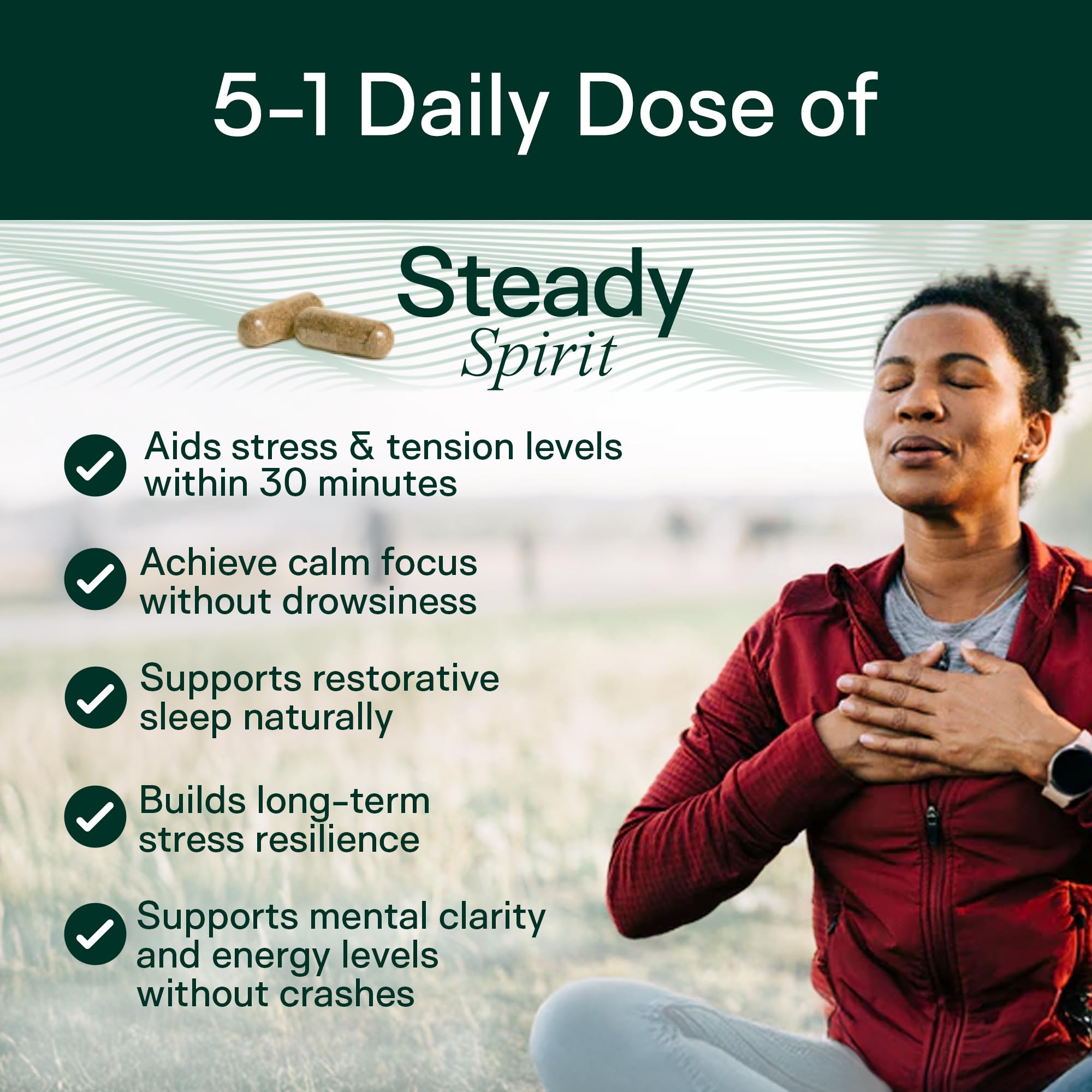 Adapt Naturals Steady Spirit Stress, Anxiety & Mood Support Supplement for Women and Men with Ashwagandha, L-Theanine, Holy Basil, Saffron, and Lemon Balm - Stress Relief Supplement - 30 Day Supply ADAPT NATURALS BY CHRIS KRESSER Au supplements