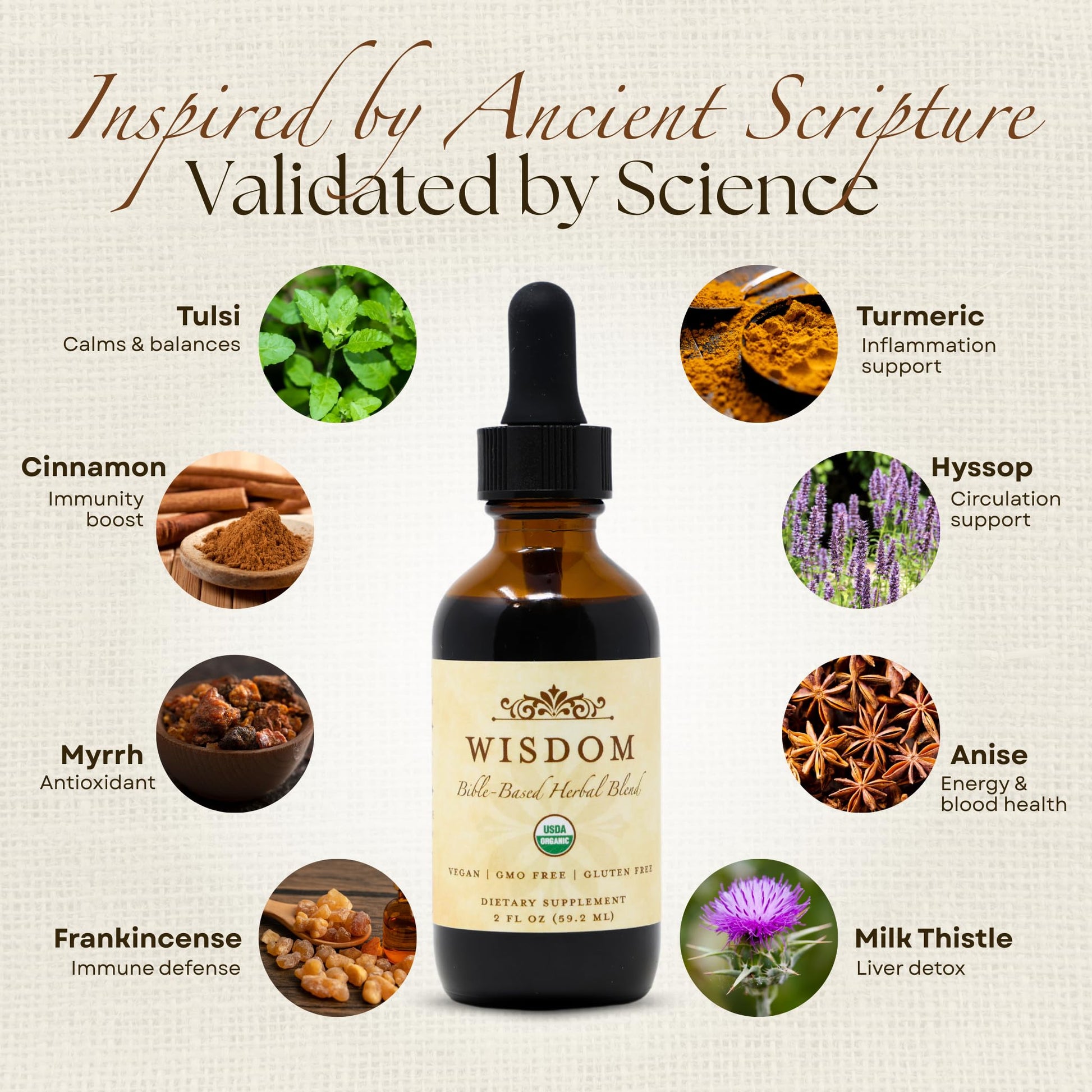 Organic Turmeric, Frankincense and Myrrh – Herbal Supplement Blend for Energy, Detox, Focus, Immunity & Stress – Non-GMO Vegan Tonic with Milk Thistle – Wisdom Bible Based Blend – 2oz Liquid Drops Wisdom Nutrition Au supplements