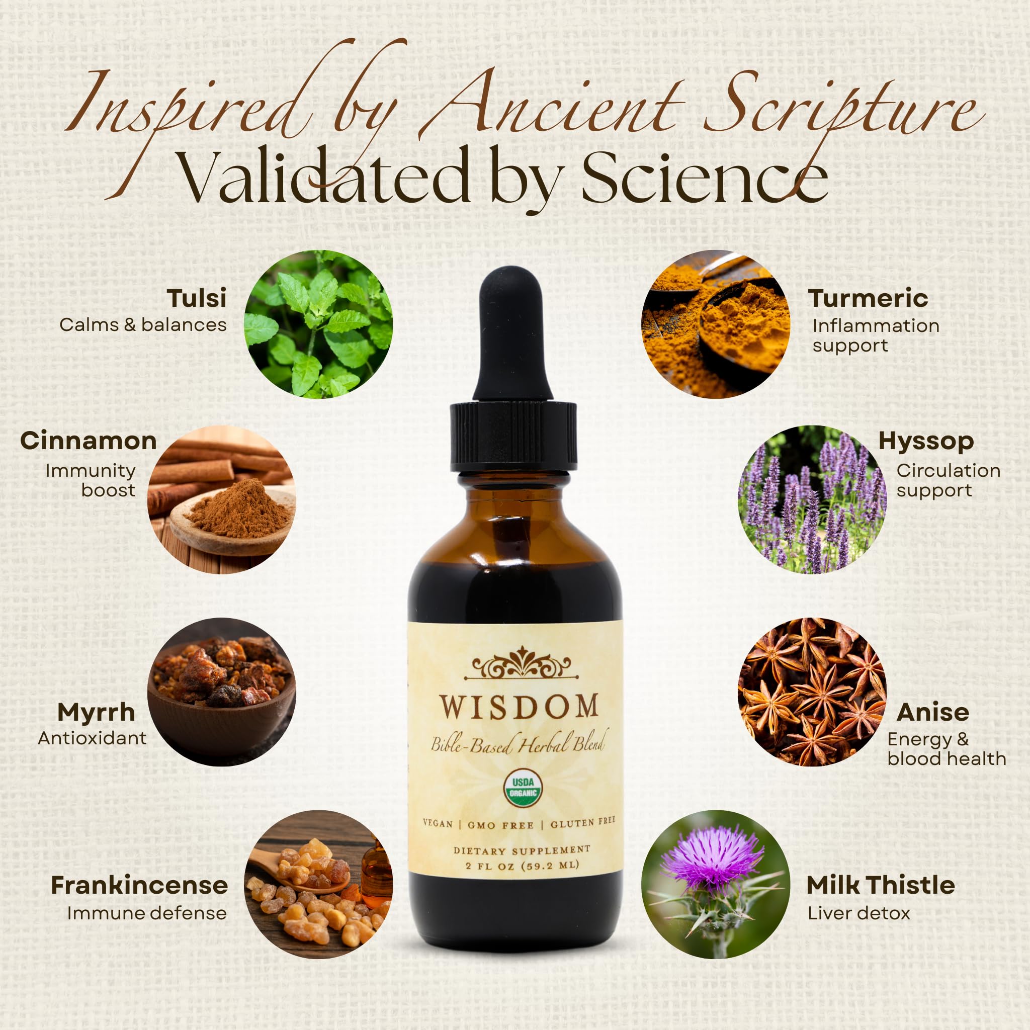 Organic Turmeric, Frankincense and Myrrh – Herbal Supplement Blend for Energy, Detox, Focus, Immunity & Stress – Non-GMO Vegan Tonic with Milk Thistle – Wisdom Bible Based Blend – 2oz Liquid Drops Wisdom Nutrition Au supplements
