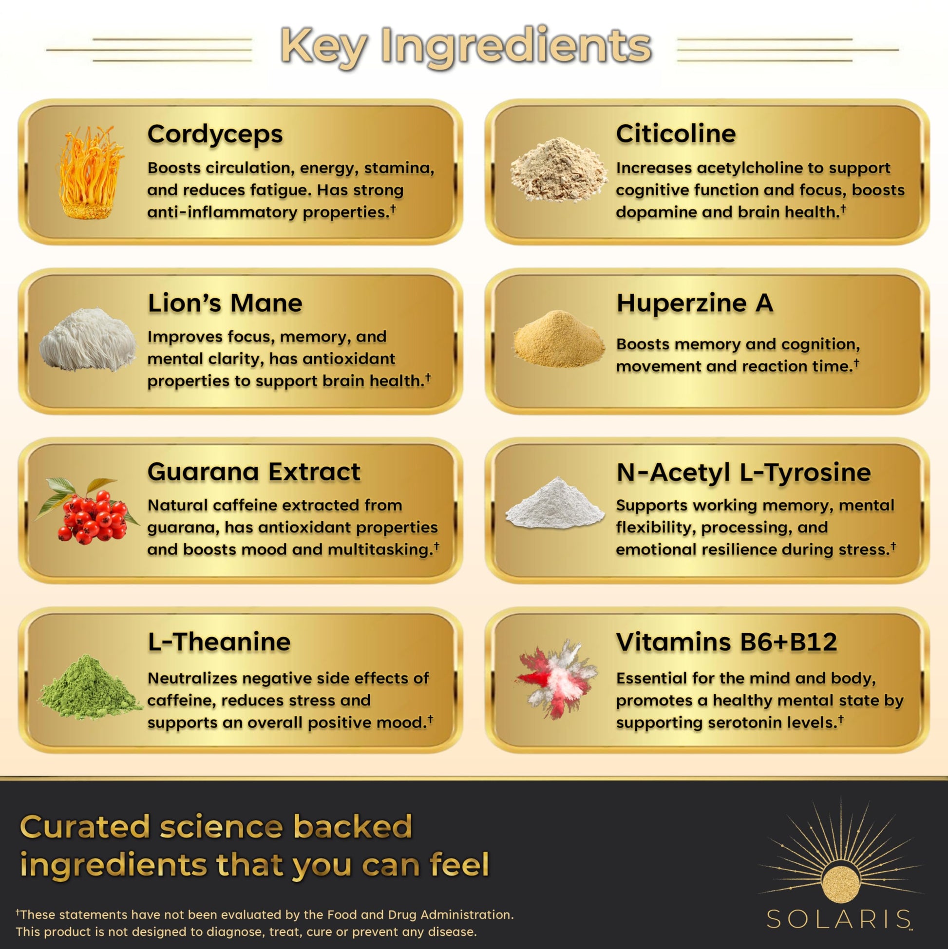 Solaris Mushroom Productivity Wellness Shots | Focus, Circulation, Memory | 4000mg of Cordyceps & Lion's Mane | Citicoline, L-Theanine, Vitamin B6/B12 | Coffee Alternative (6-Pack) Solaris Extracts Au supplements