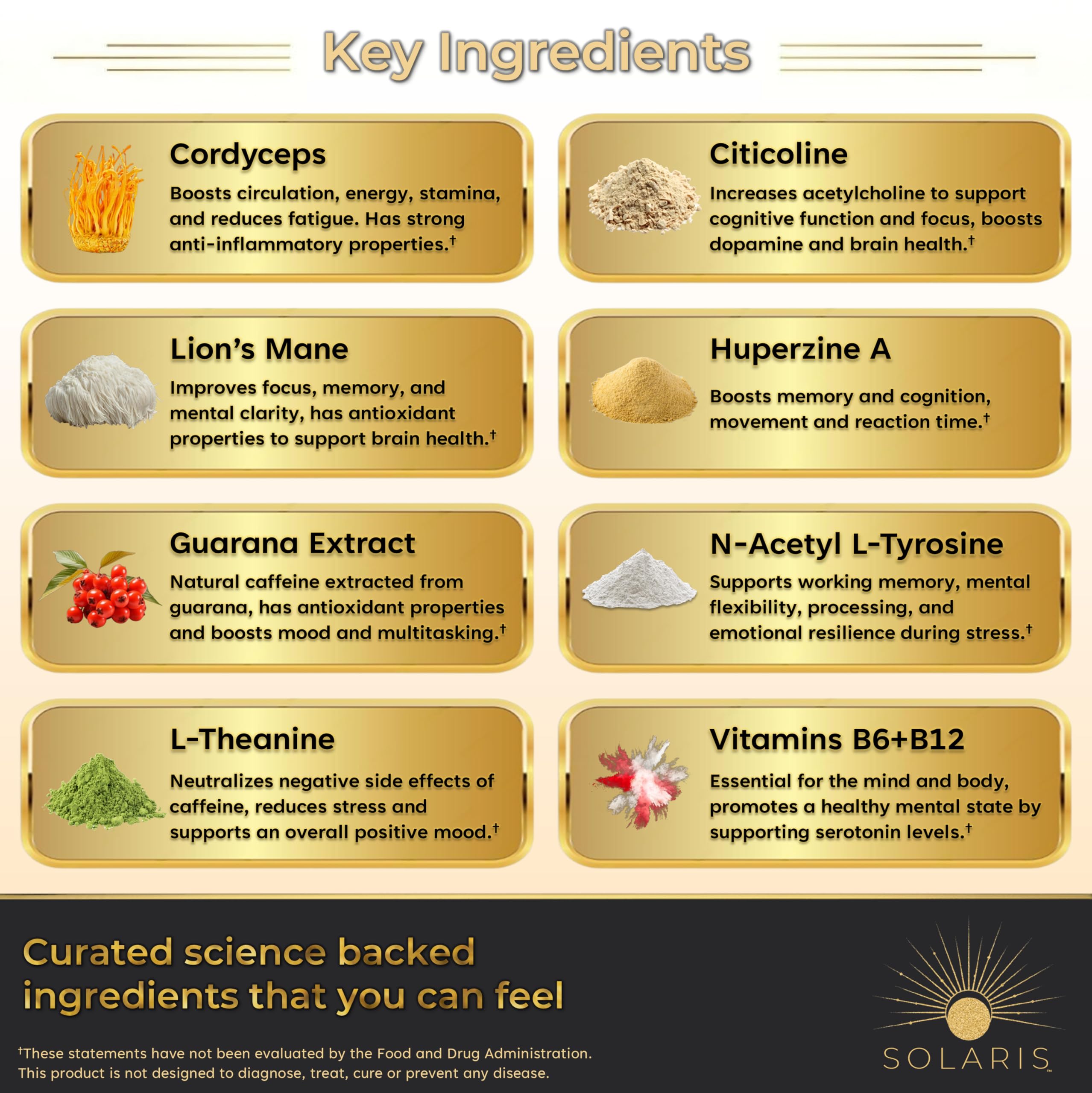 Solaris Mushroom Productivity Wellness Shots | Focus, Circulation, Memory | 4000mg of Cordyceps & Lion's Mane | Citicoline, L-Theanine, Vitamin B6/B12 | Coffee Alternative (6-Pack) Solaris Extracts Au supplements