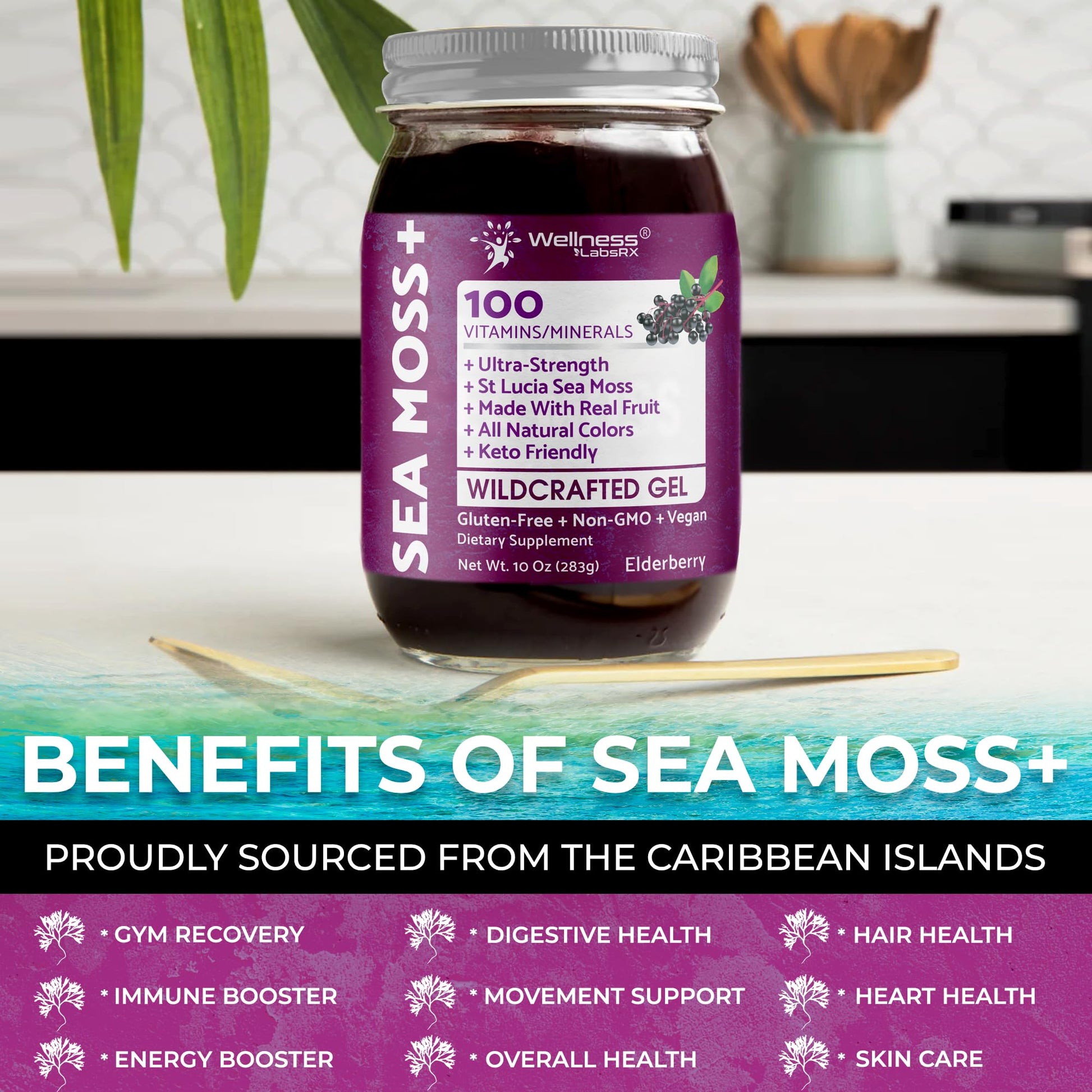 WELLNESS LABSRX Irish Sea Moss Gel Raw - Wildcrafted Superfood Seamoss Gel - Elderberry Flavor, Vitamin and Mineral-Rich from Pristine Caribbean Waters, Immune and Digestive Health Support - 10 oz. WELLNESS LABSRX Au supplements