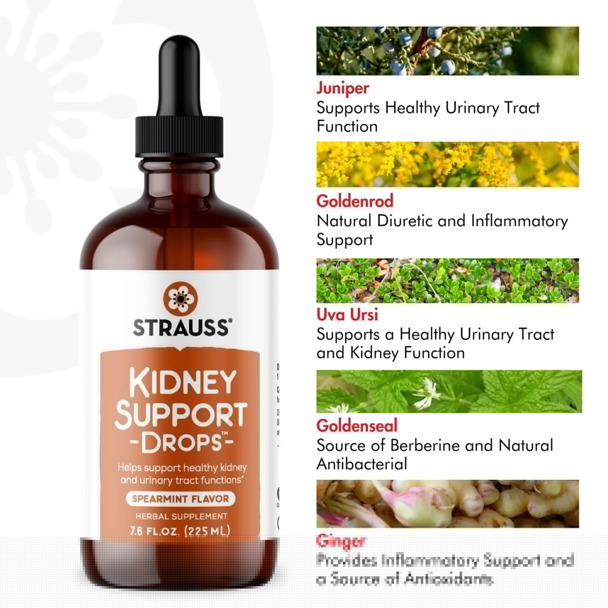 Strauss Naturals Kidney Support Drops – Herbal Kidney Support Supplement for Men and Women – Helps with Kidney Health and Urinary Tract Function – Vegan & Non-GMO – Spearmint Flavored – 100 ml Bottle Strauss Heartdrops Au supplements