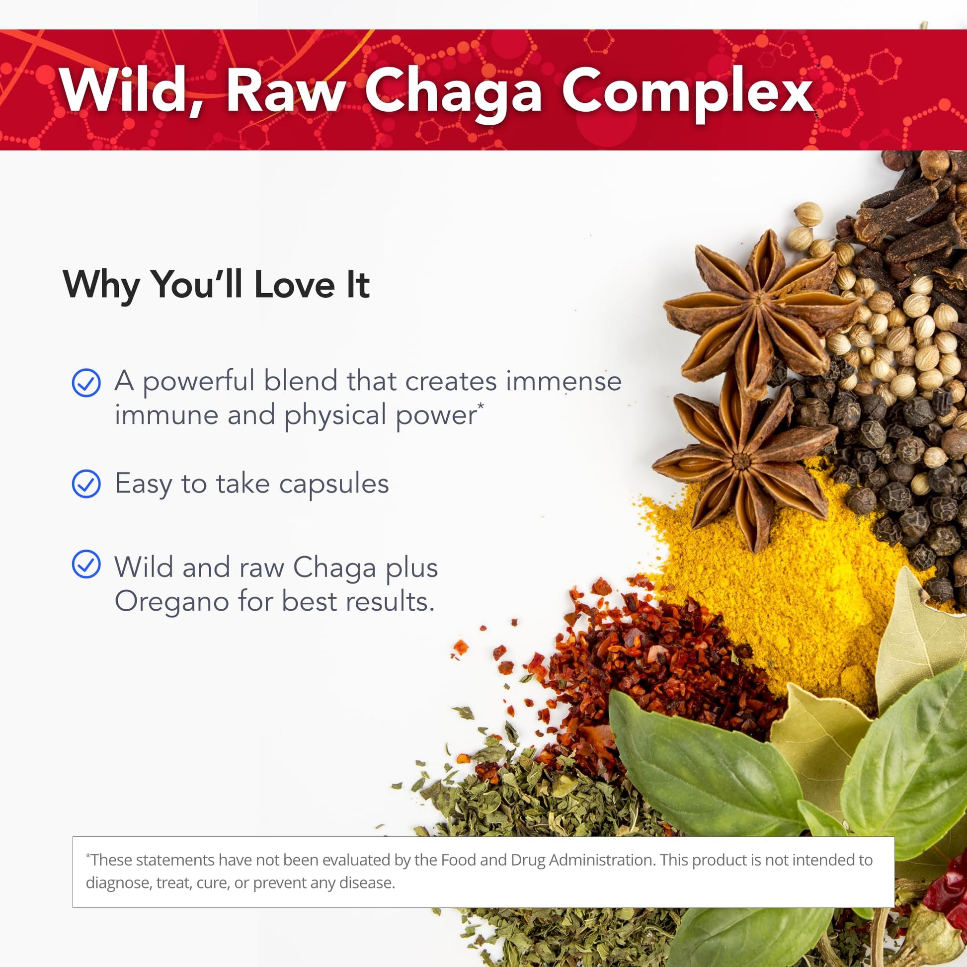 Physician's Strength ChagaStrength - 90 Capsules - Wild, Raw Chaga Complex - Immune & Physical Support - Non-GMO - 90 Servings Physician's Strength Au supplements