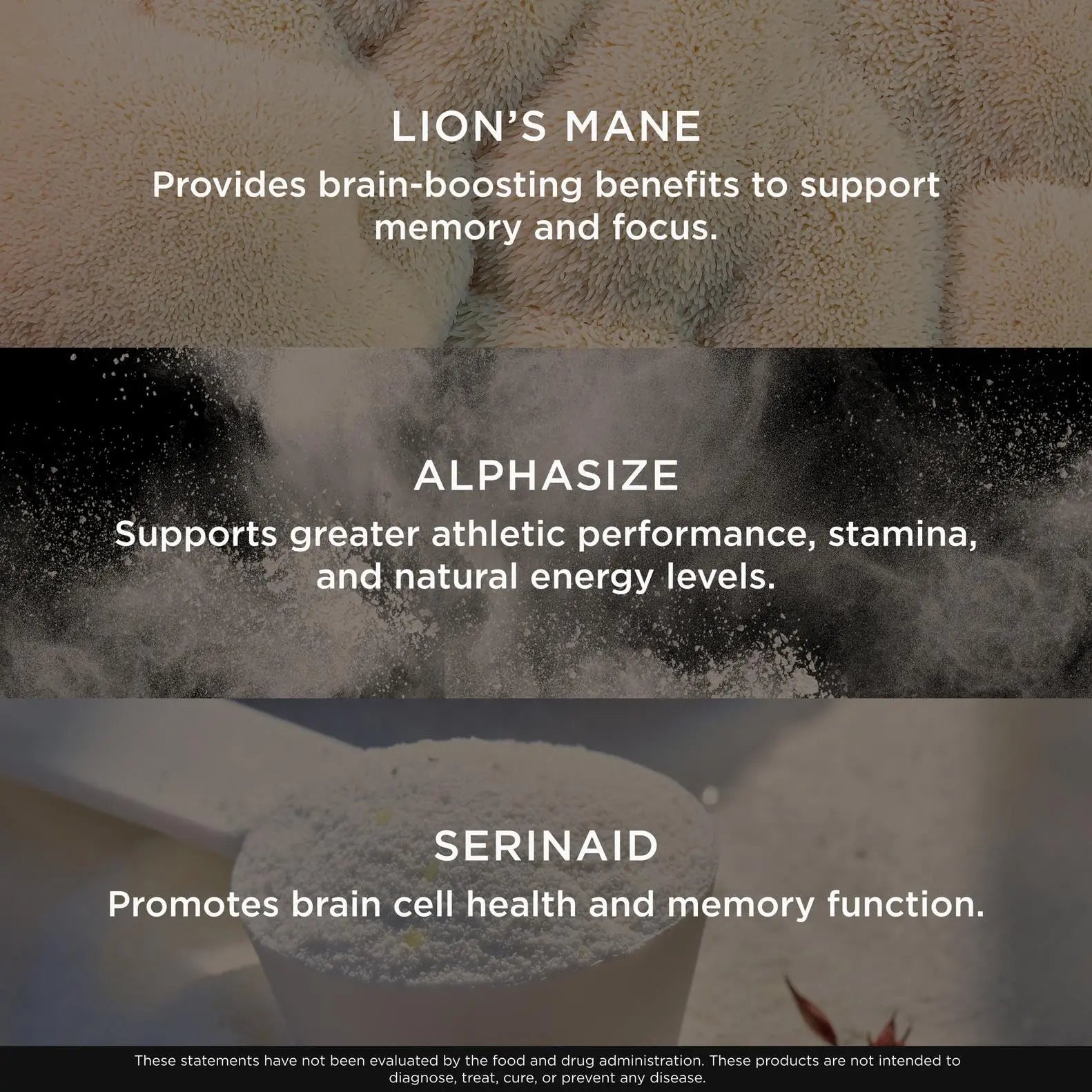 Genius Consciousness - Premium Nootropic Powder for Focus, Memory & Mental Clarity - AlphaSize, NeuroFactor, Lion’s Mane & Dynamine - Natural Brain Booster for Studying, Work & Creativity – Watermelon The Genius Brand Au supplements