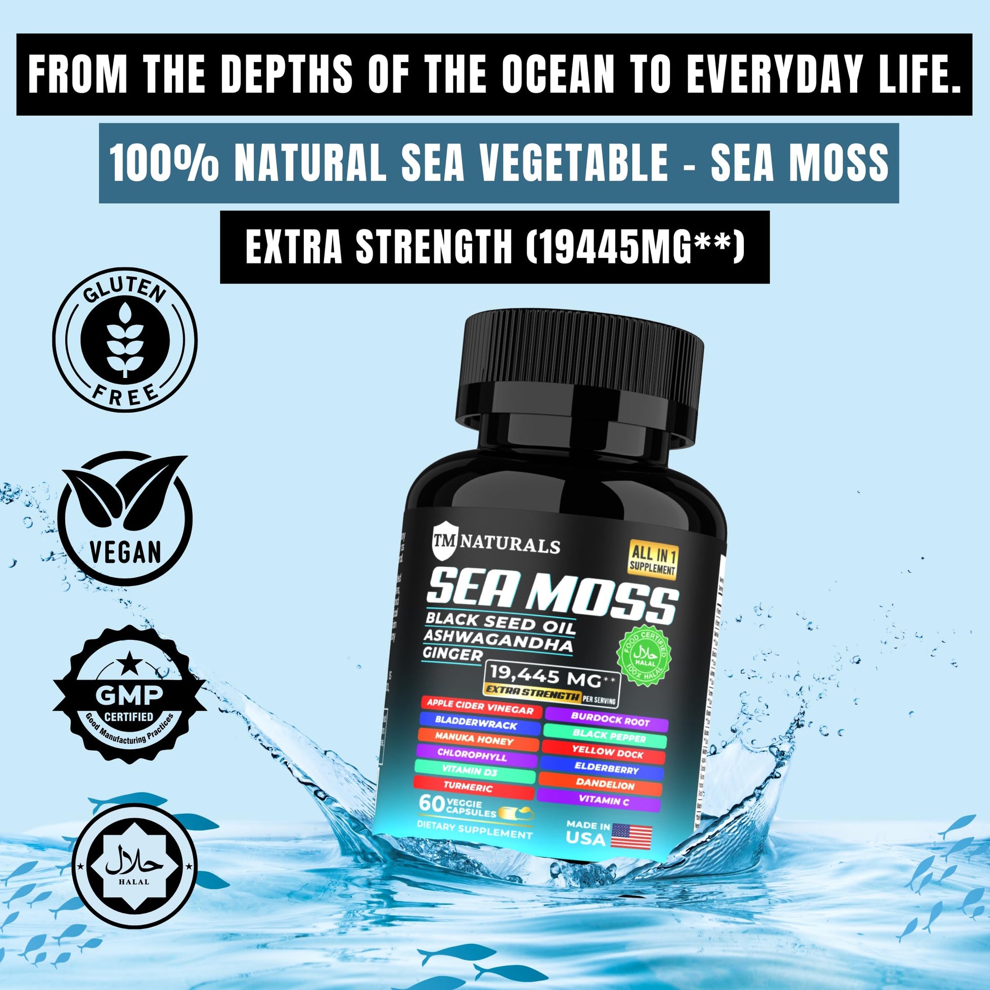 TM NATURALS Sea Moss with Black Seed Oil, Vitamin C, Ashwagandha and Turmeric for Immune Support & Energy - 60 Vegan Capsules + Free Pill Box TM NATURALS Au supplements