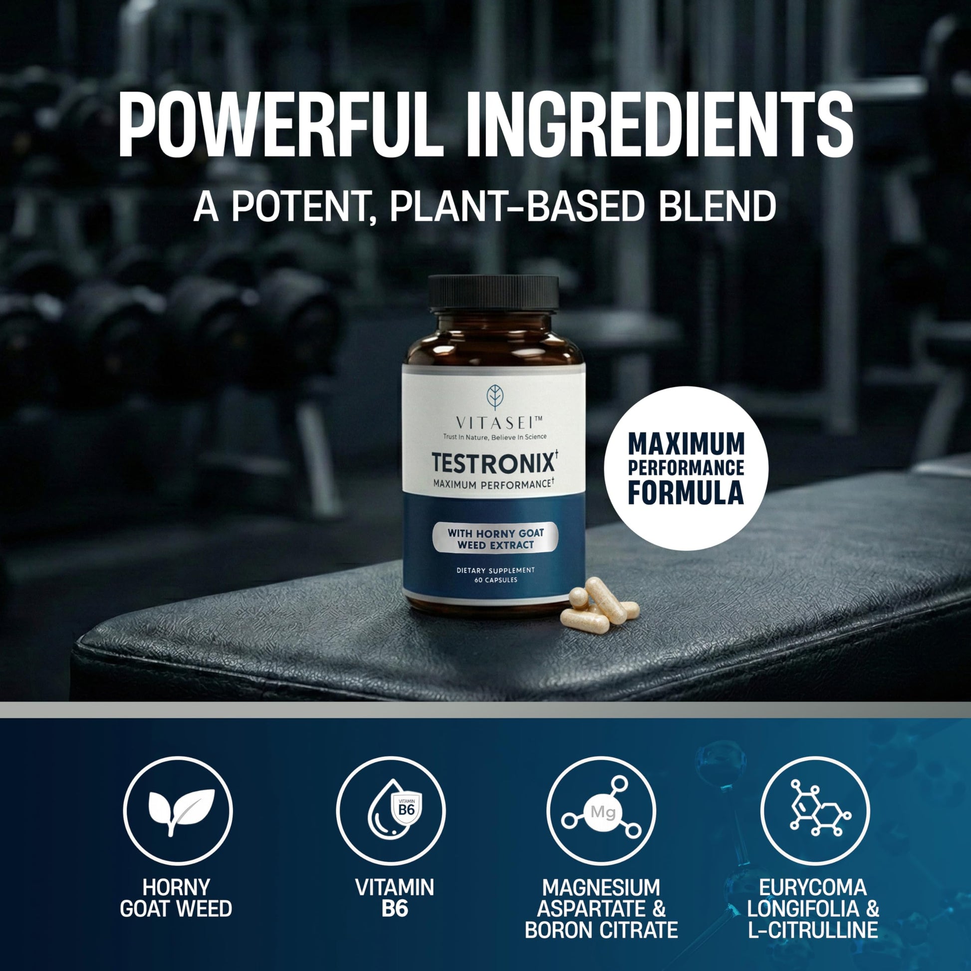 VITASEI Testronix Performance Supplement for Men - Energy and Muscle Supplements for Mens Health - 60 Capsules (Pack of 2) VITASEI Au supplements
