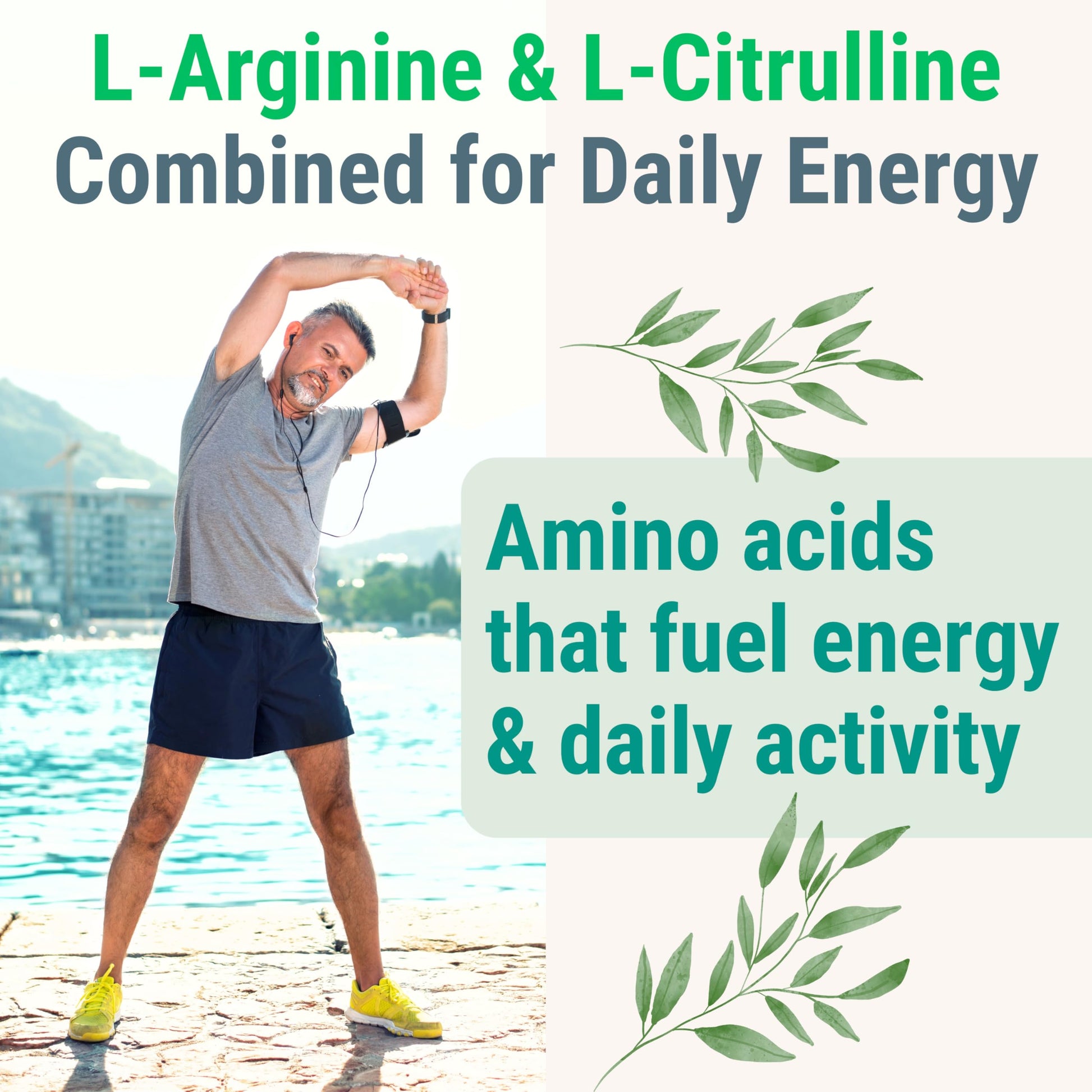 Pine Bark Extract L-Arginine L-Citrulline Beetroot Probiotic Fiber Methylated B Complex Zinc Gummies for Women Men Adults Kids w. Chicory Root Inulin 5-MTHF B6 P5P Powder Capsule Pill Supplement Alt SHIZAM Au supplements