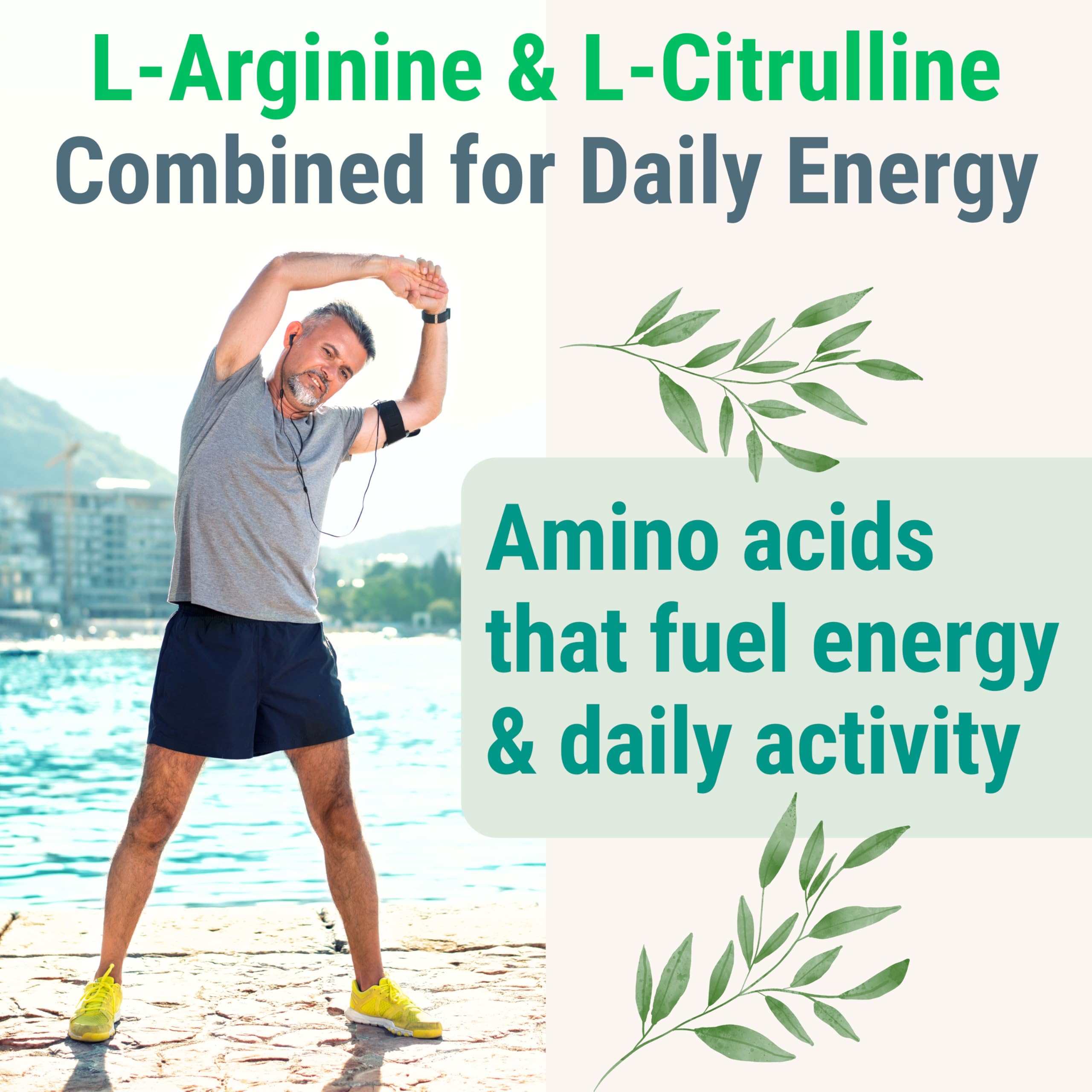 Pine Bark Extract L-Arginine L-Citrulline Beetroot Probiotic Fiber Methylated B Complex Zinc Gummies for Women Men Adults Kids w. Chicory Root Inulin 5-MTHF B6 P5P Powder Capsule Pill Supplement Alt SHIZAM Au supplements