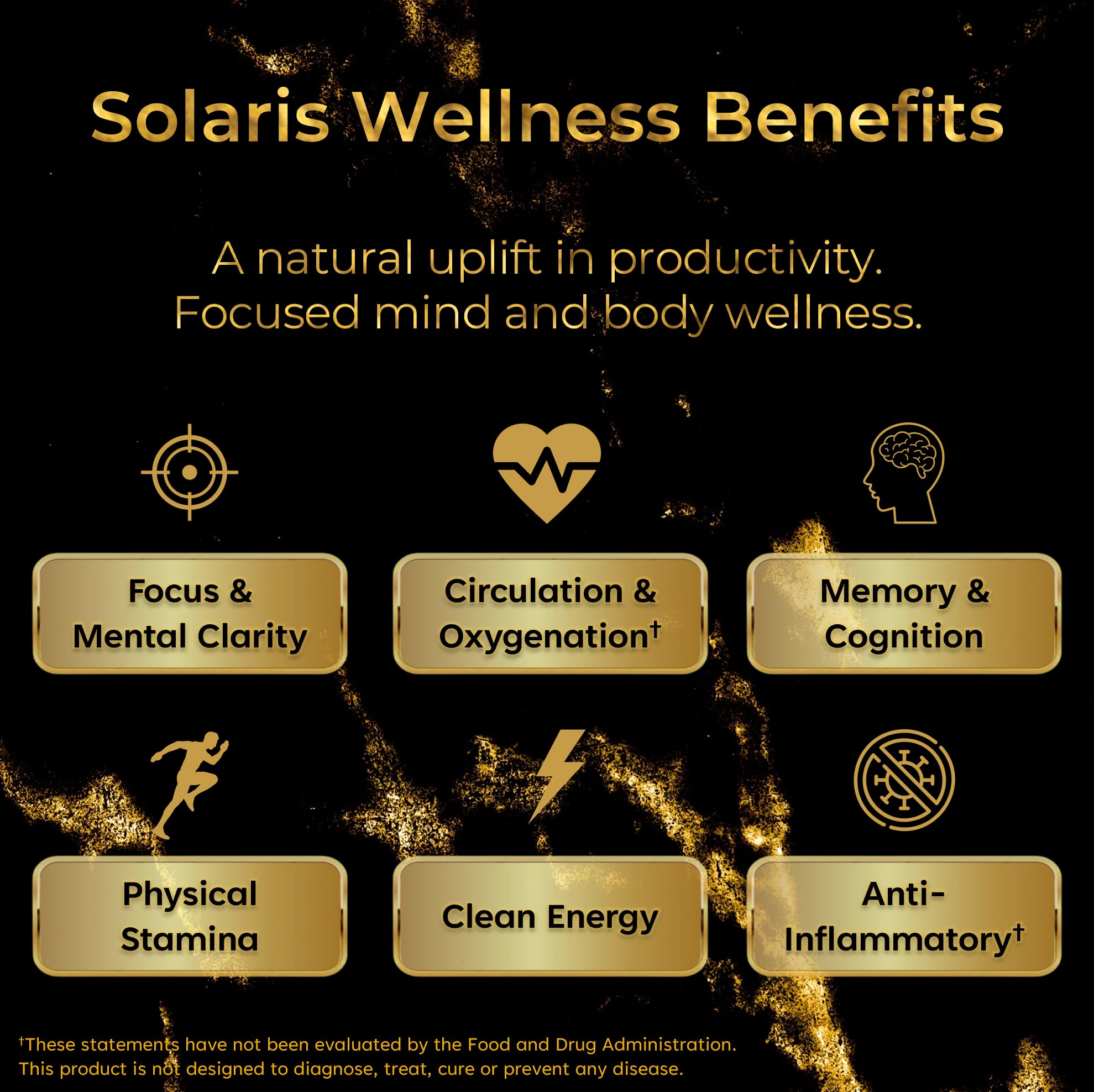 Solaris Mushroom Productivity Wellness Shots | Focus, Circulation, Memory | 4000mg of Cordyceps & Lion's Mane | Citicoline, L-Theanine, Vitamin B6/B12 | Coffee Alternative (6-Pack) Solaris Extracts Au supplements