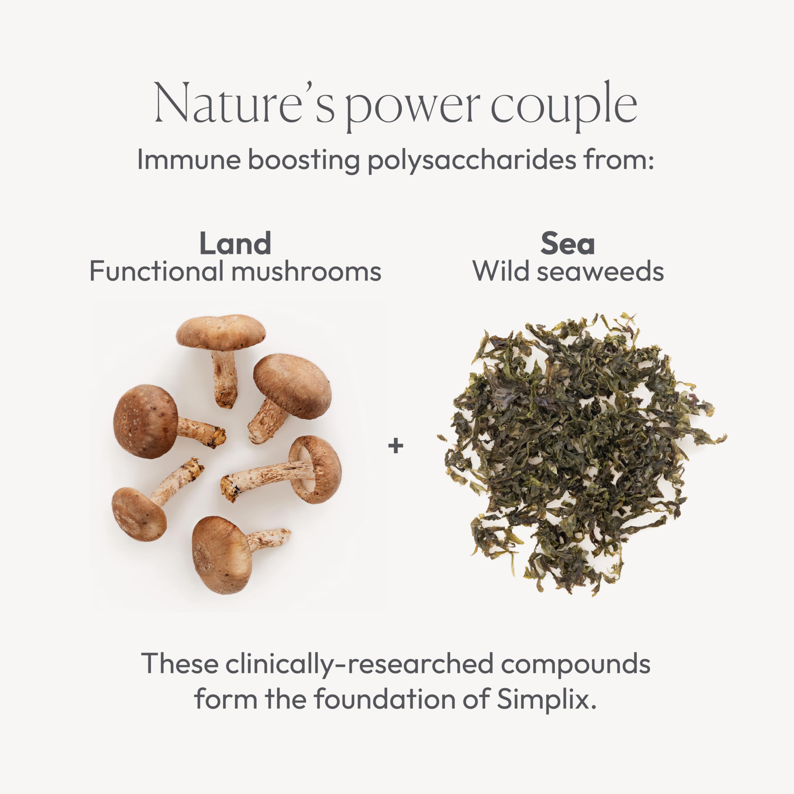 Simplix | Natural Supplement to Strengthen The Immune System | Respond to Outbreaks | Source of Highly Researched Mushroom & Seaweed Polysaccharides 60 Veggie Capsules (1 Pack) Papillex Au supplements