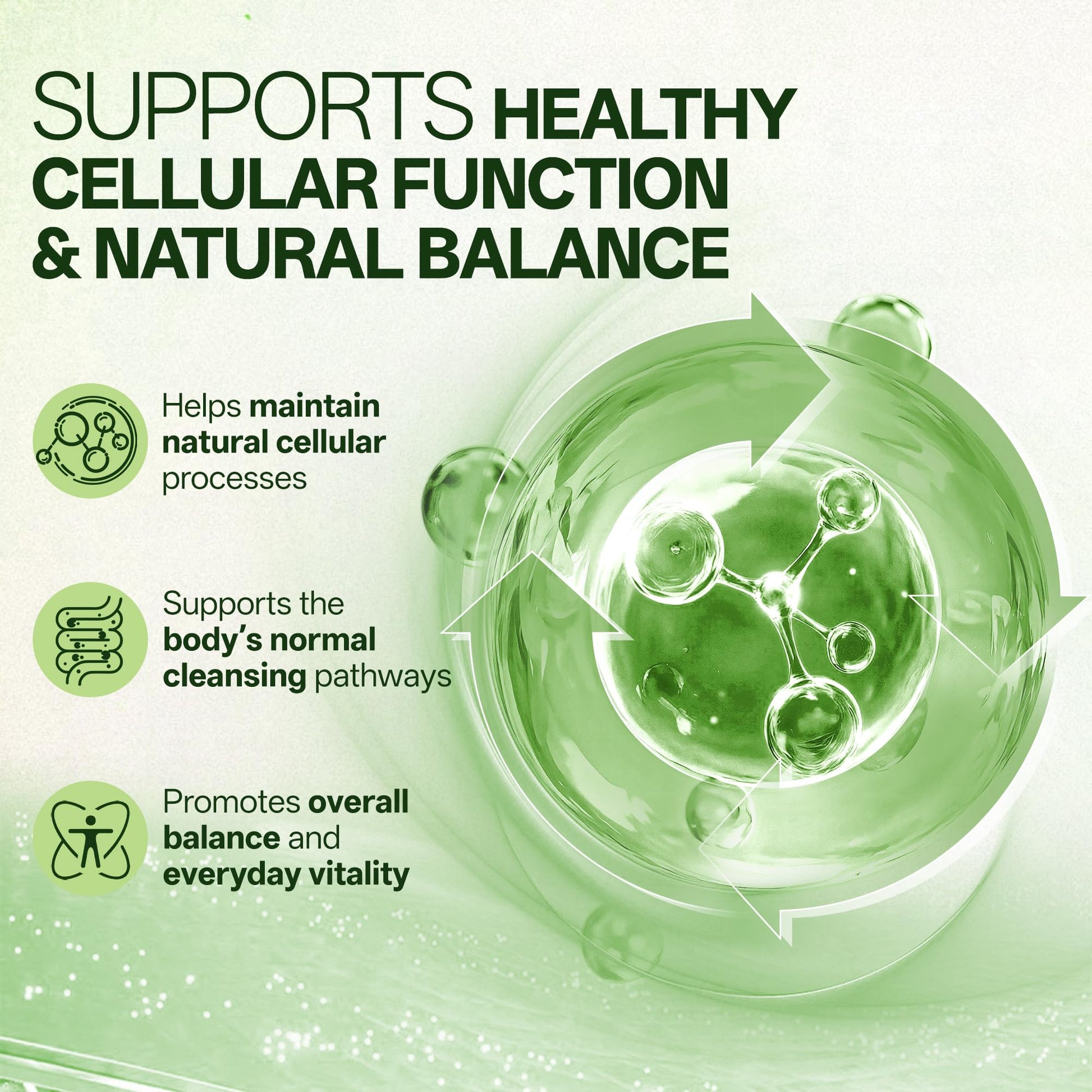 Liposomal Sulforaphane 500mg Supplement from Broccoli Extract with Quercetin, Black Pepper & Vitamin C – Antioxidant, Detox & Cellular Support, Cellular Health Formula for Men & Women, 60 Capsules inGreens Au supplements