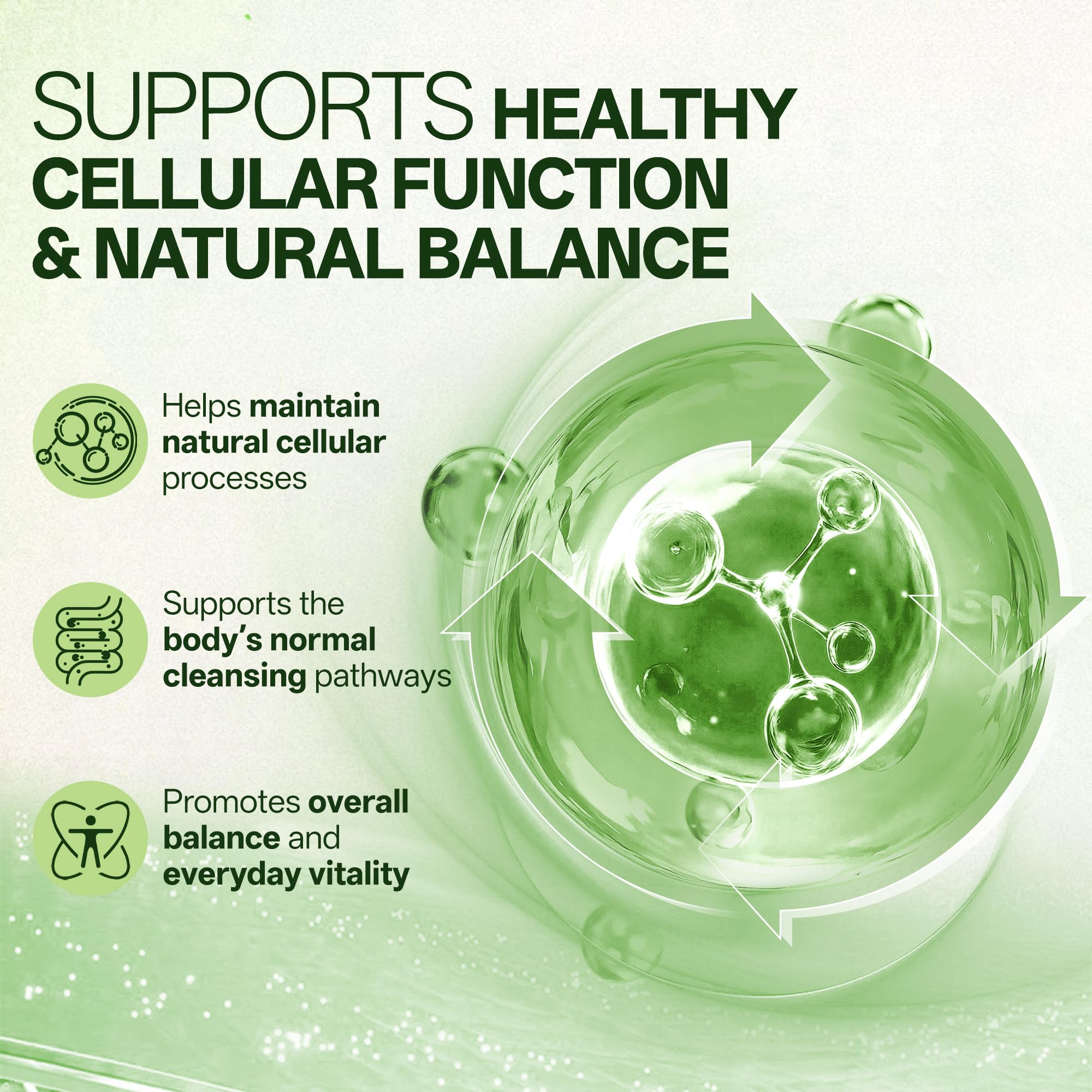 Liposomal Sulforaphane 500mg Supplement from Broccoli Extract with Quercetin, Black Pepper & Vitamin C – Antioxidant, Detox & Cellular Support, Cellular Health Formula for Men & Women, 60 Capsules inGreens Au supplements