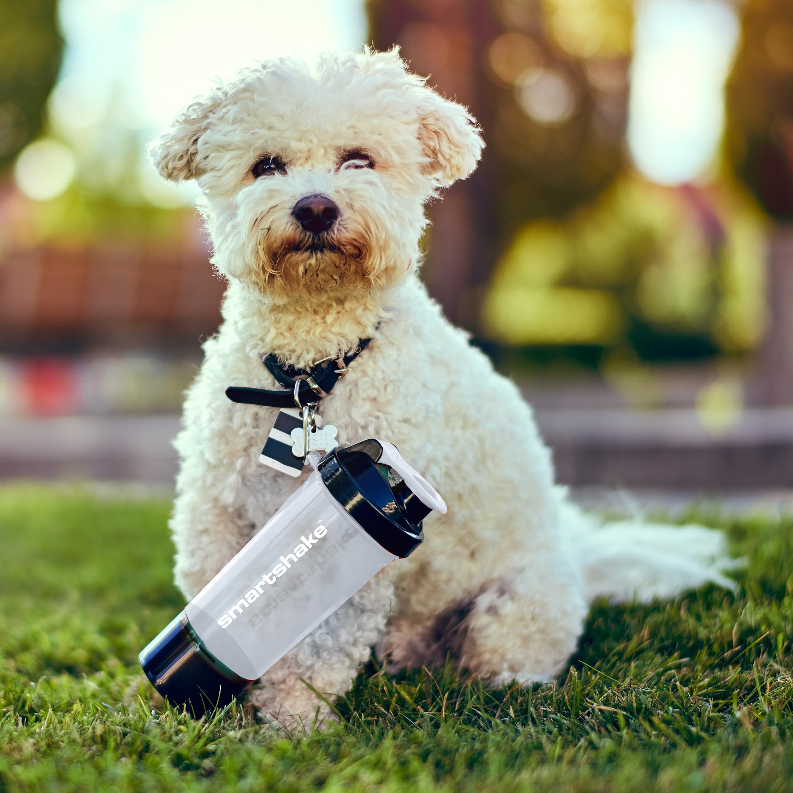 Smartshake Slim 4-Pack Protein Shaker Bottle 400 ml | 13.5 oz – Storage Included - Leakproof Screw