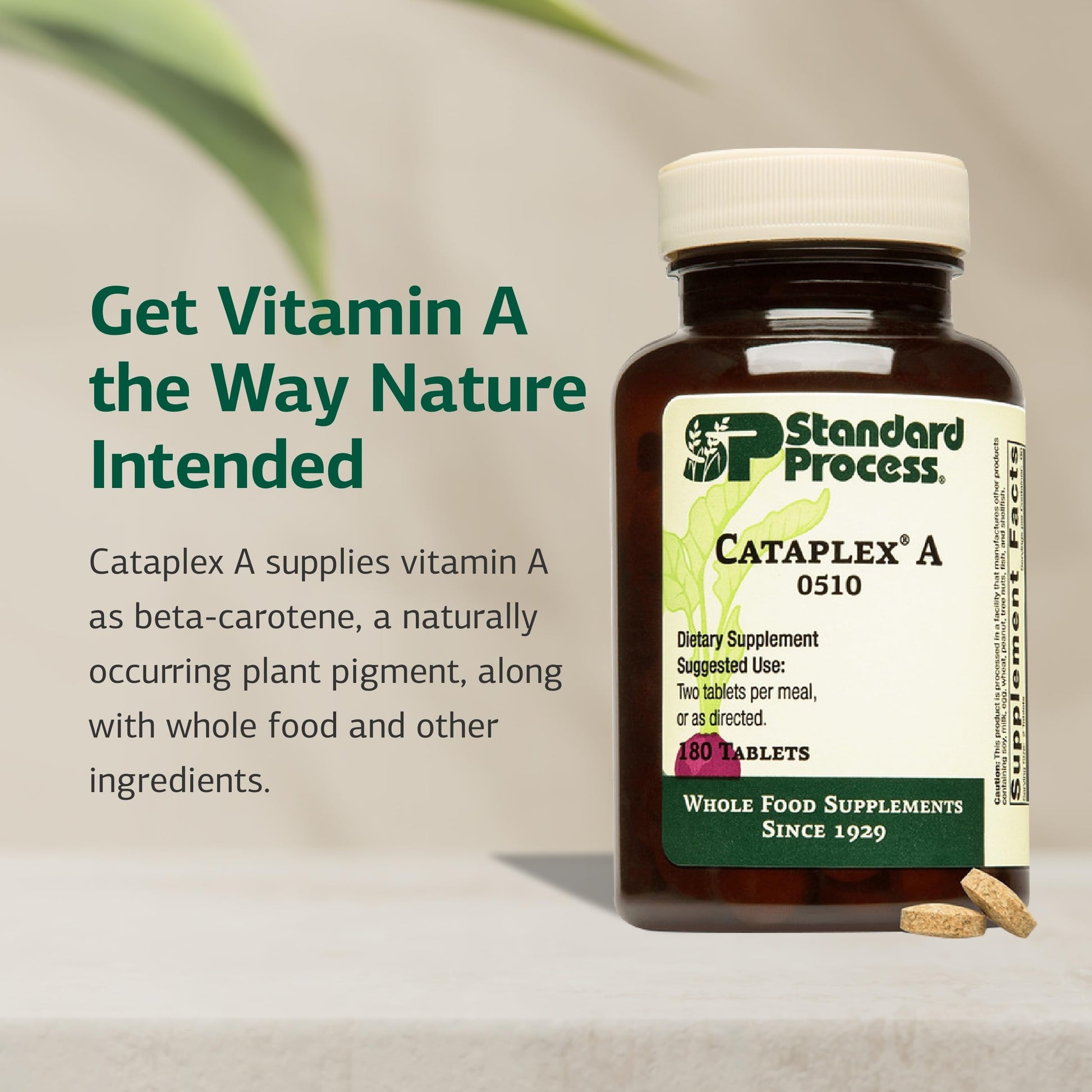 Standard Process Cataplex A - Supports Eye Health & Mucous Membranes - Supports Healthy Vision & Provides Antioxidant Vitamin A - Non-Dairy & Non-Soy - 180 Tablets Standard Process Inc. Au supplements