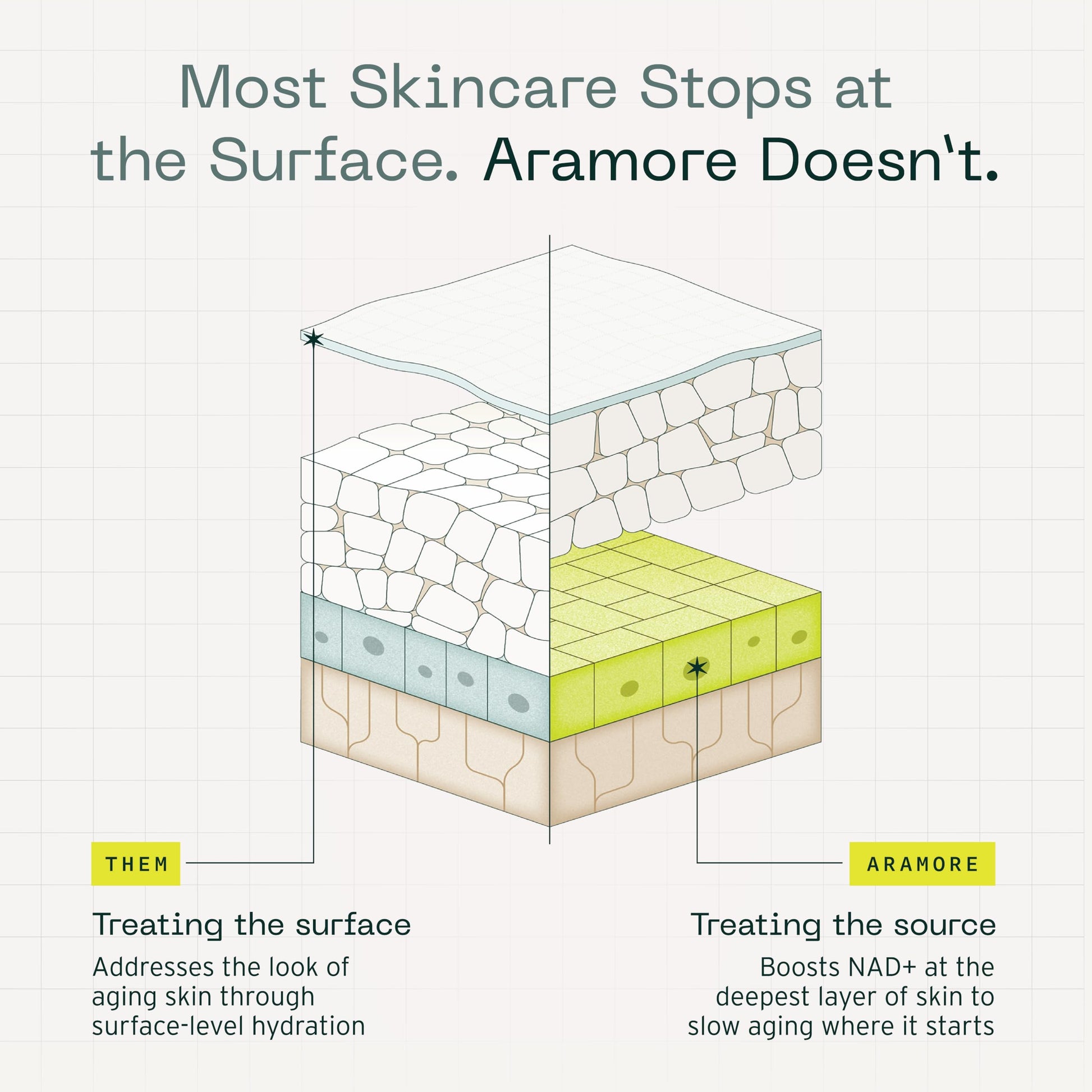 Aramore NAD+ Cell Energizing Skin Care Treatment with Proprietary NAD+ Precursor Complex, Clinically Proven to Target 12 Signs of Aging - 15ml Aramore Au supplements