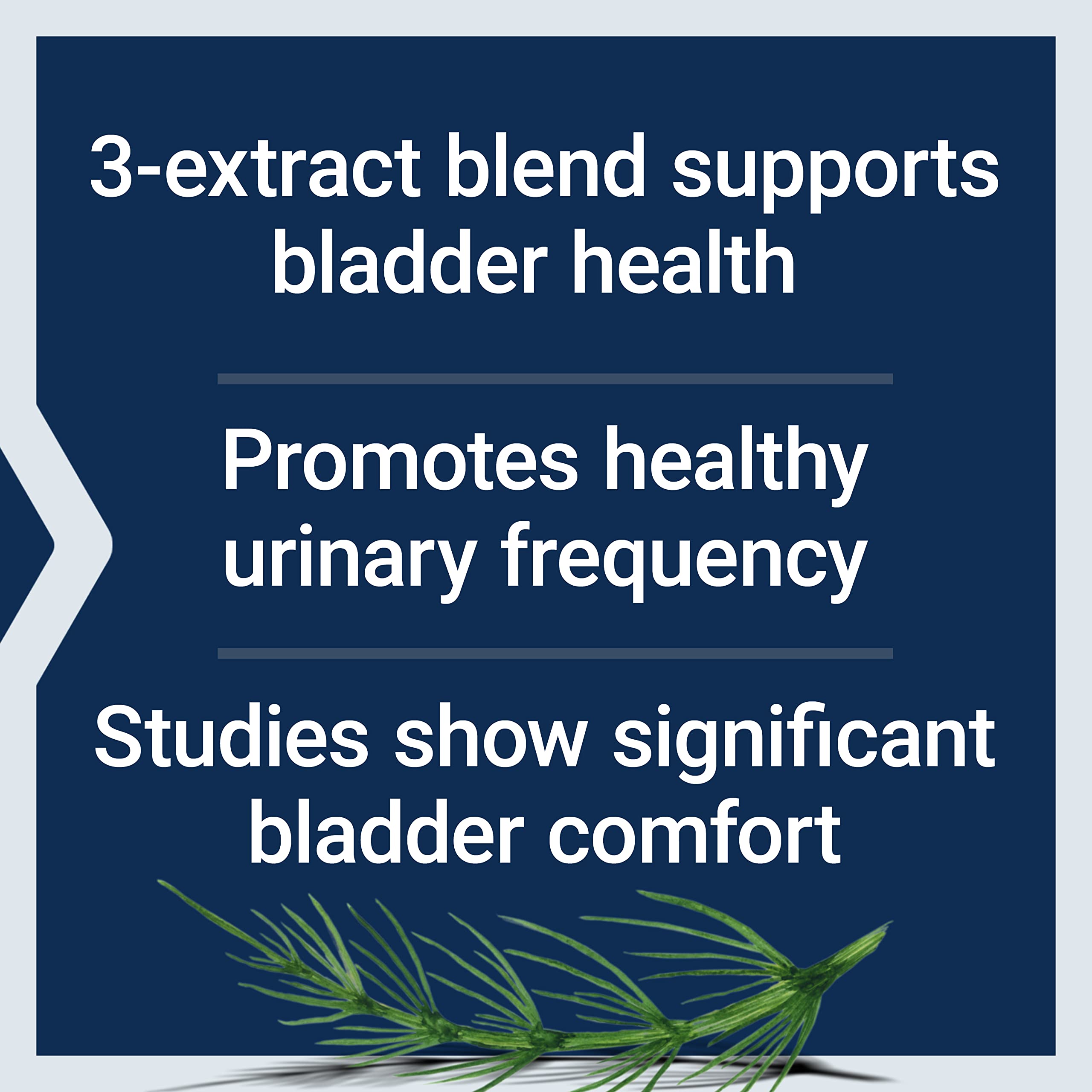 Life Extension Women's Bladder Support – for Bladder Health and Normal Urinary Frequency – Horsetail, Lindera and Three-Leaf Caper Extracts – Non-GMO – Gluten Free — 60 Vegetarian Capsules Life Extension Au supplements