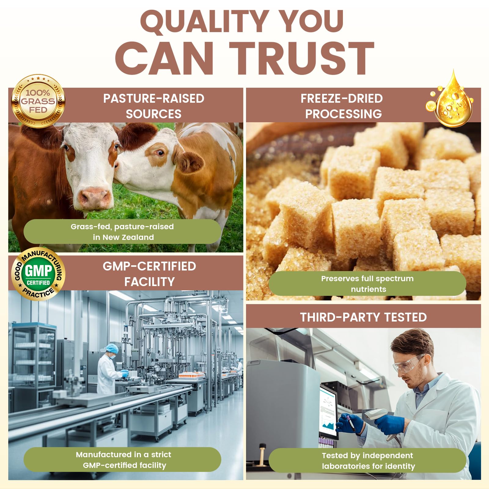 Grass Fed Beef Organ Supplement for Men - Beef Liver Capsules,Pasture Raised Beef Organs with Heart, Liver, Kidney, Spleen, Testicle & Prostate, Zinc, Selenium, Vitamin D3, Ginseng, Cordyceps HOLINFRE Au supplements