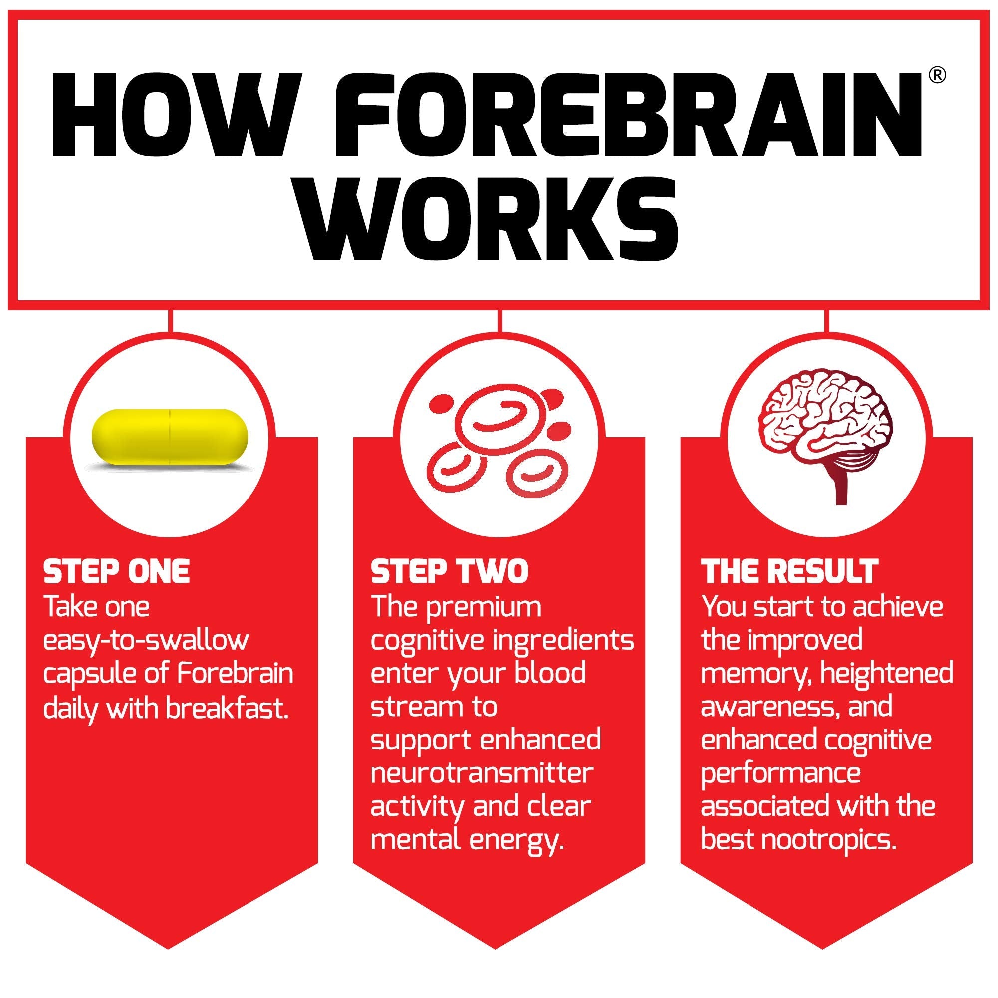 Force Factor Forebrain Nootropic Brain Supplement with Caffeine Bacopa and Huperzine A Capsules 3Pack, White, 90 Count Force Factor Au supplements