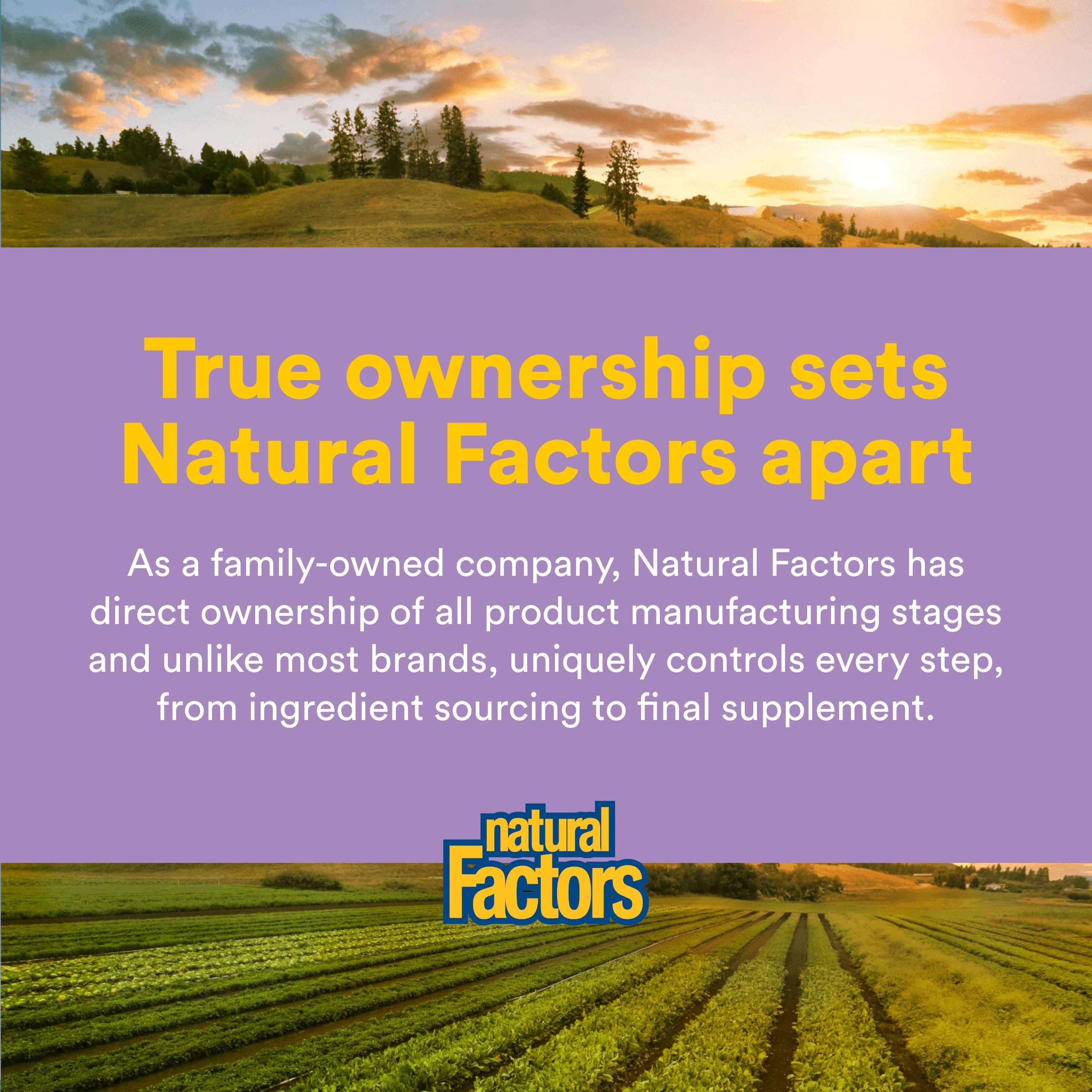 Natural Factors Pharma GABA - Dietary Supplement Supports Calm Sleep & Sleep Quality - Natural, Fast-Working Supplement Aids Focus & Brain Health - 120 Chewable Tablets (60 Servings) Natural Factors Au supplements
