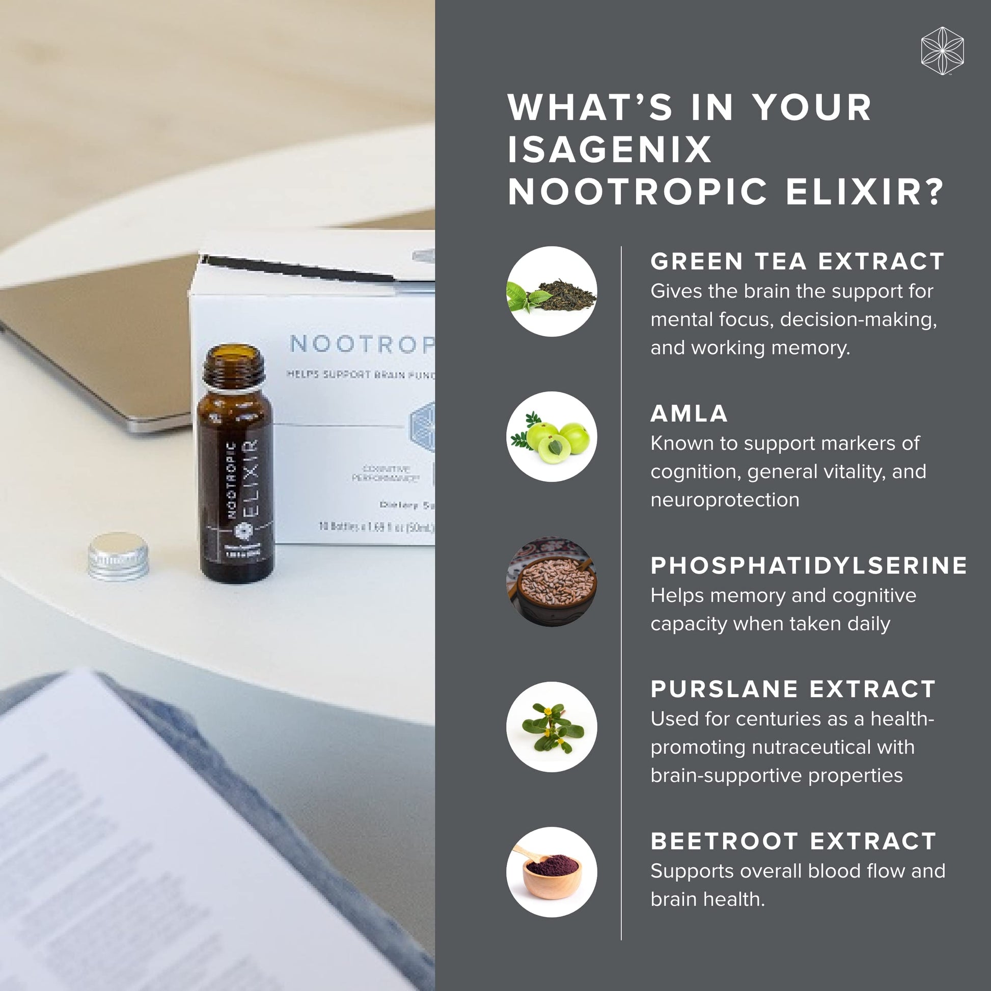 Isagenix Nootropic Elixir- Brain Health & Focus Supplement - Liquid Supplement with Green Tea Extract to Support a Healthy Mindset - 1.69 Oz Bottles (10 Count) Isagenix Au supplements