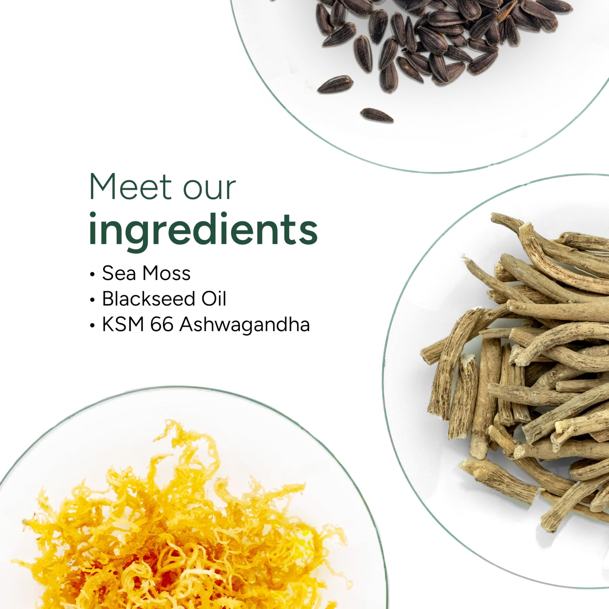 ROOT LABS Sea Moss Gummies I 92+ Minerals I Black Seed Oil I KSM 66 Ashwagandha I Lab Tested I No Added Sugar | for Men, Women I Non-GMO I 100% Natural & Organic I 1600 mg I 120 Gummy ROOT LABS Au supplements
