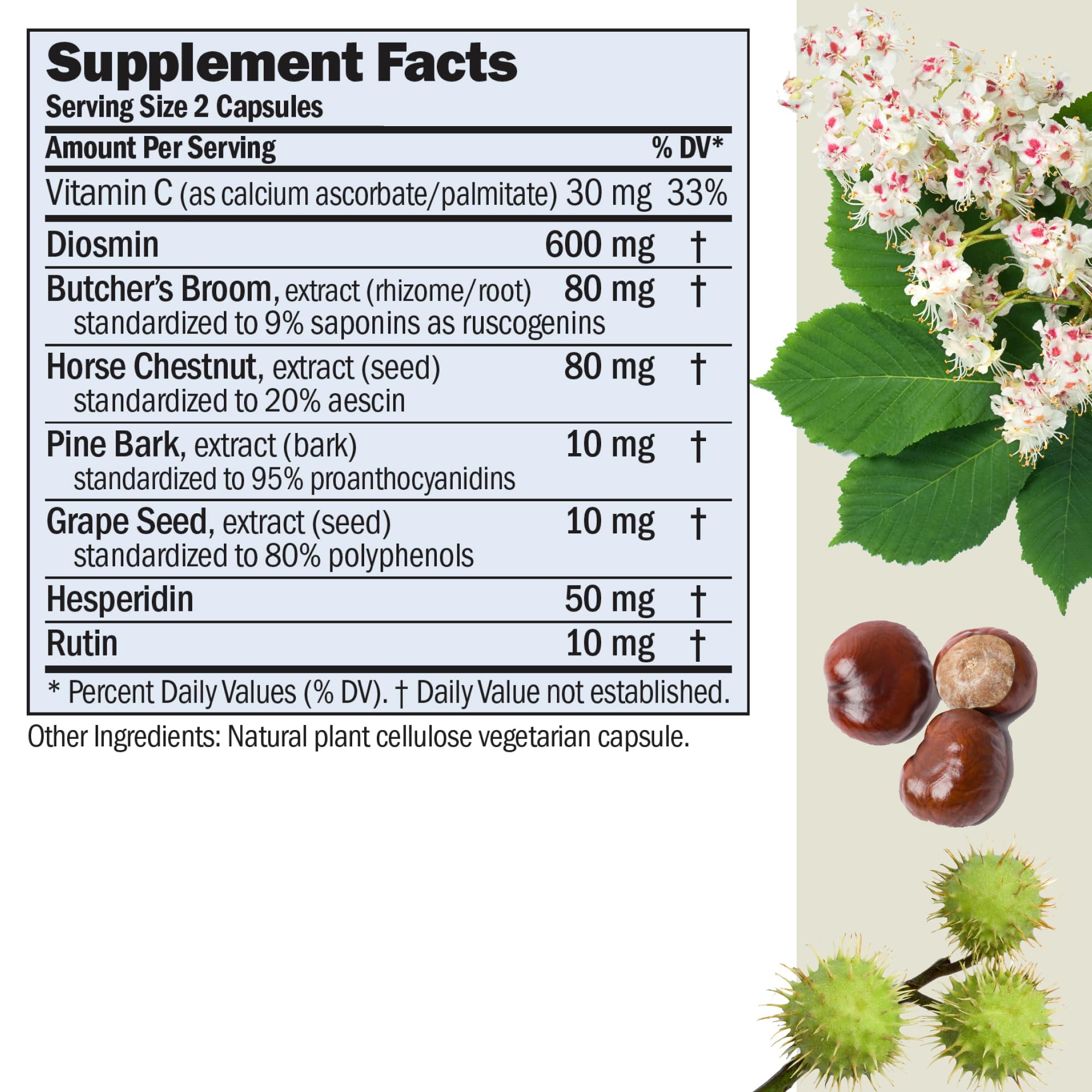 ANDREW LESSMAN Circulation, Vein Support for Healthy Legs 180 Capsules - High Bioactivity Diosmin, Butcher's Broom, Visibly Reduces Swelling and Discomfort in Feet, Ankles, Calves, Legs ANDREW LESSMAN Au supplements