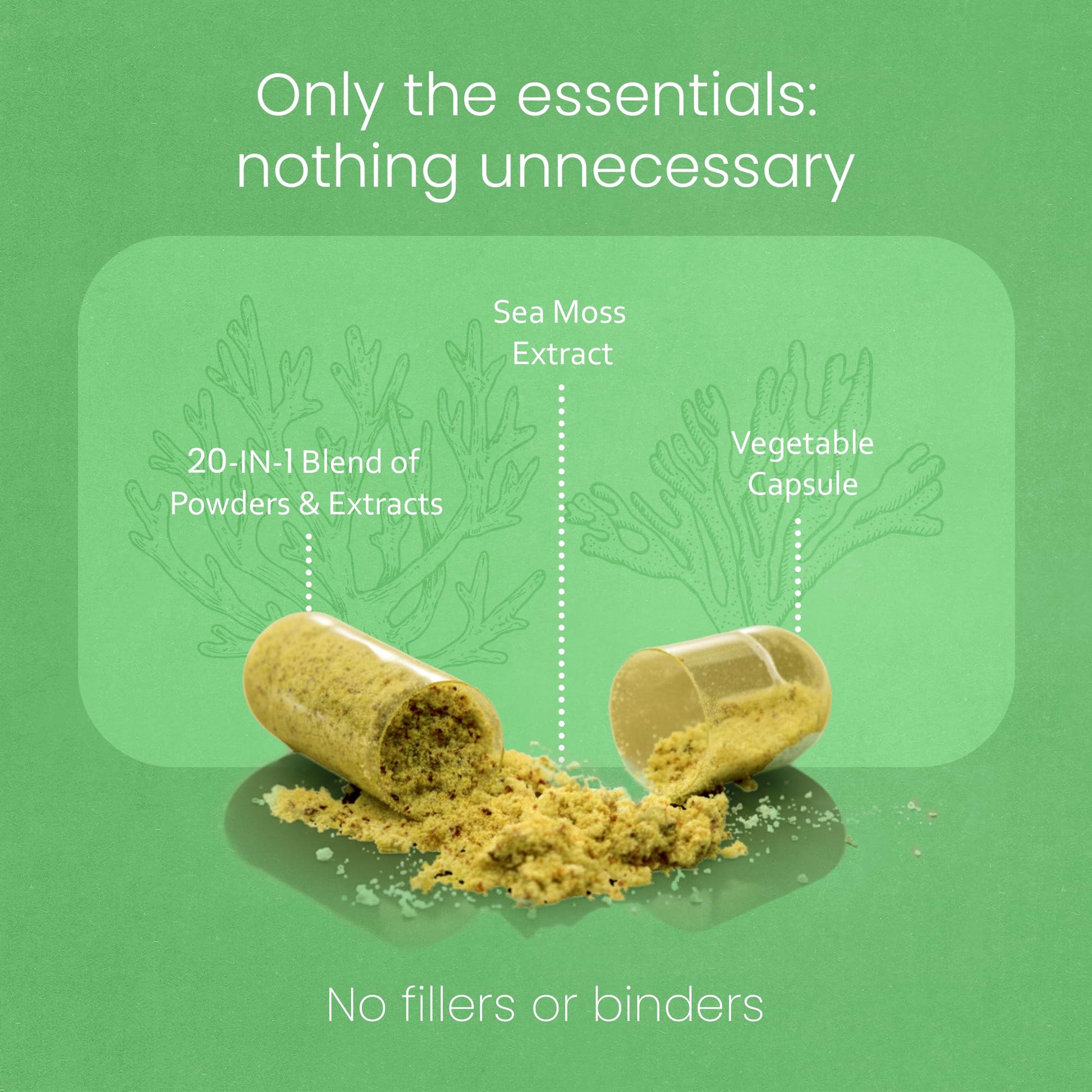 Sea Moss, Black Seed Oil, Bladderwrack, Turmeric, Ashwagandha, Burdock, Vitamin C, D3, Yellow Dock Root, Manuka, Dandelion - 90 Veggie caps NaturaLife Labs Au supplements
