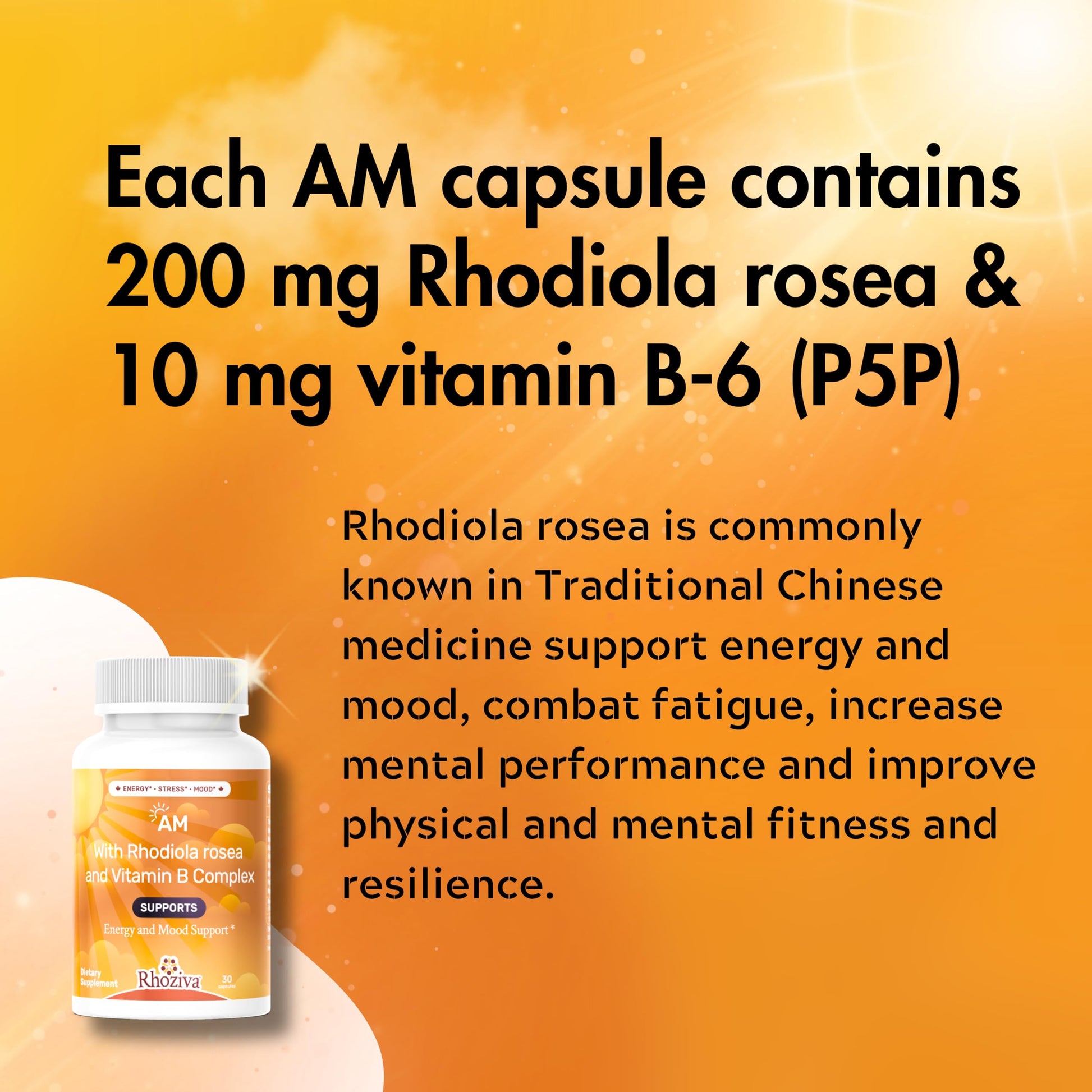 AM PM Multivitamin - Cortisol Supplements for Women and Men with L-Theanine, Ashwagandha - Rhodiola Rosea Supplement 200mg - Vitamin B Complex - Nootropics - Day and Night Vitamins for Women & Men Rhoziva Au supplements