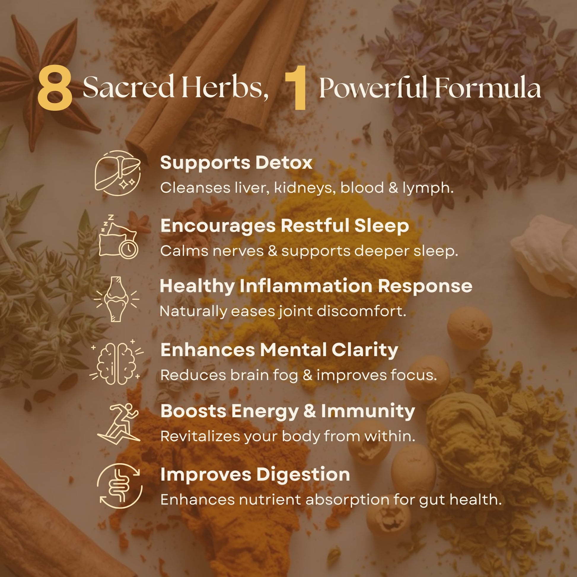 Organic Turmeric, Frankincense and Myrrh – Herbal Supplement Blend for Energy, Detox, Focus, Immunity & Stress – Non-GMO Vegan Tonic with Milk Thistle – Wisdom Bible Based Blend – 2oz Liquid Drops Wisdom Nutrition Au supplements