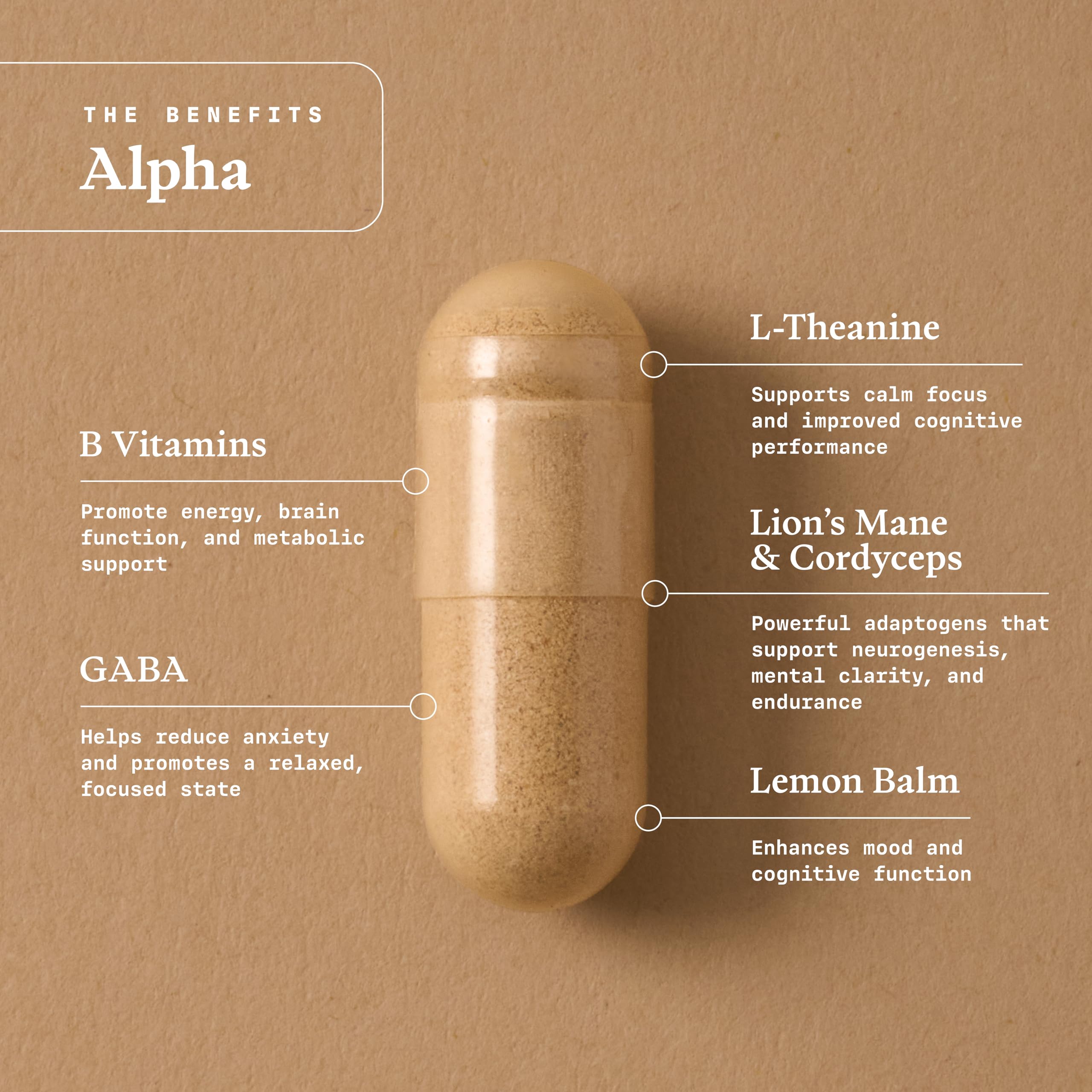 Ultra Life Sport - Alpha Nootropic - 30 Capsule Body and Brain Supplements for Memory and Focus - L-Theanine, B Vitamins, Lion's Mane, Cordyceps Mushrooms, Vitamin D3, K2 MK-7, Lemon Balm and Ginkgo Ultra Life Sport Au supplements