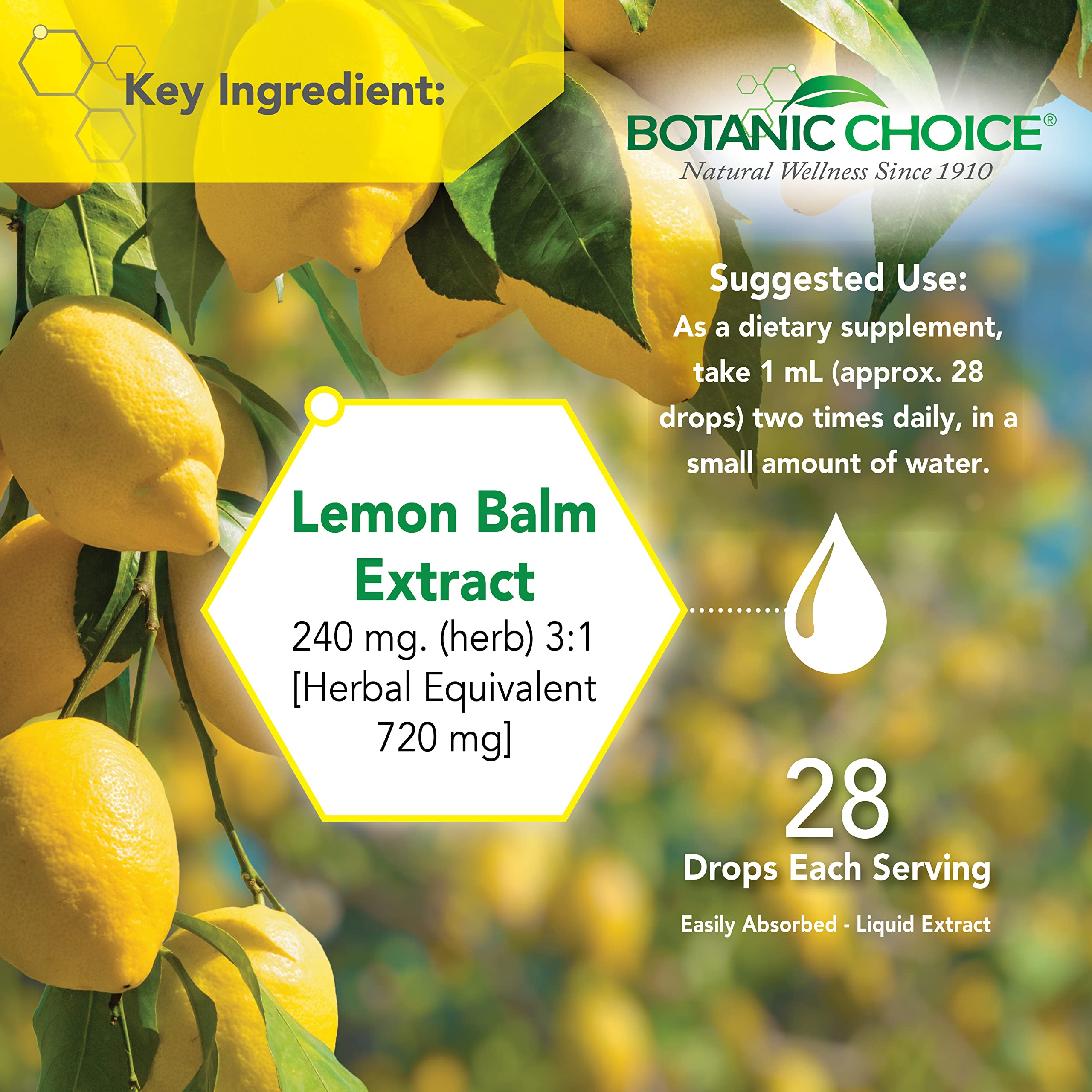 Botanic Choice Mega Fruits and Veggies Blend (60 Capsules) + Lemon Balm Tincture (1 fl oz) Bundle - Energy Balance & Superfood Supplement + Relaxation and Sleep Support Botanic Choice Au supplements