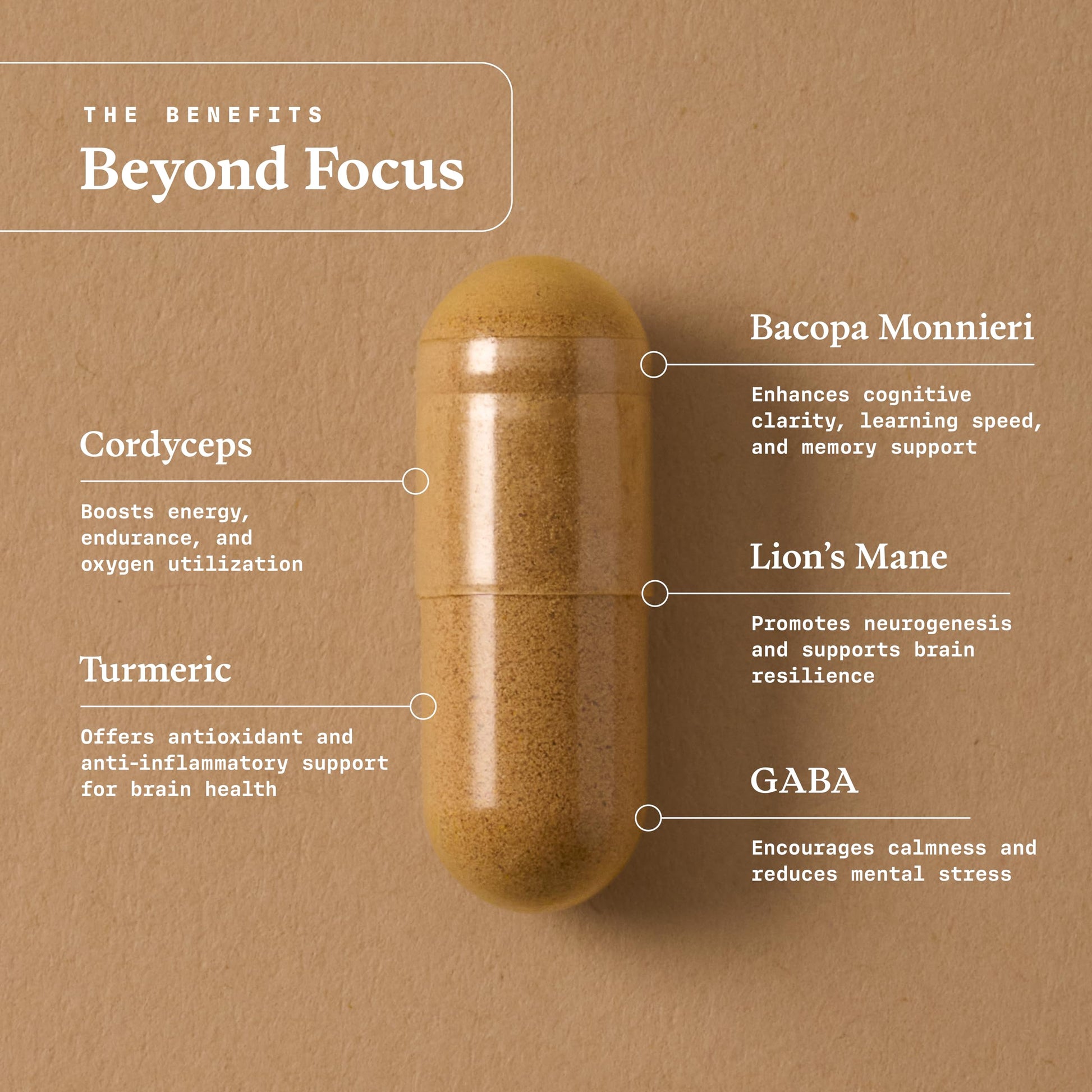 Ultra Life Sport - Beyond Focus Organic Mushroom Supplement - 30 Capsule Brain Supplements for Memory and Focus - 100% Vegan, Non-GMO - Memory Booster with Bacopa, Cordyceps, & Lion’s Mane Ultra Life Sport Au supplements