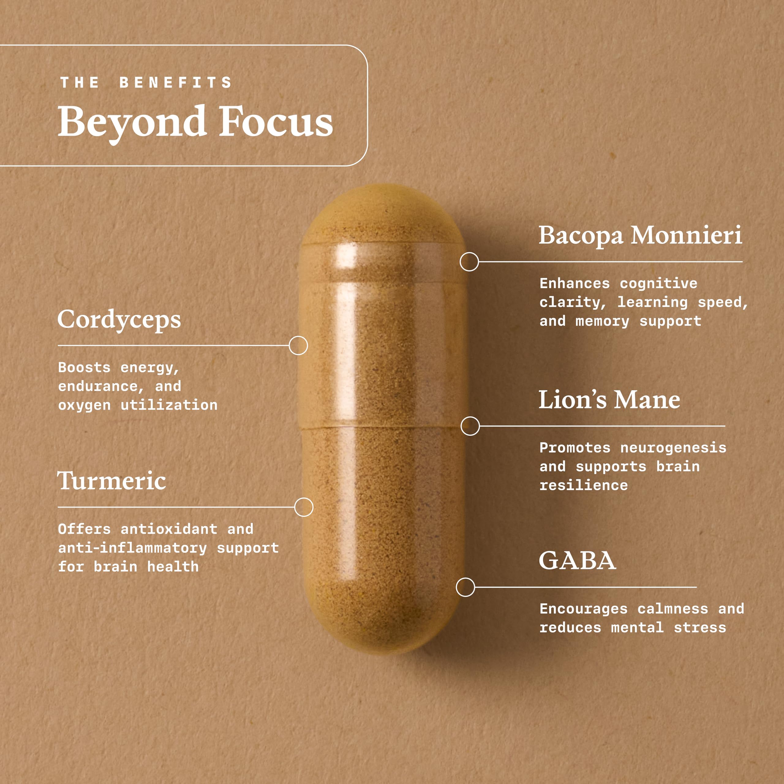Ultra Life Sport - Beyond Focus Organic Mushroom Supplement - 30 Capsule Brain Supplements for Memory and Focus - 100% Vegan, Non-GMO - Memory Booster with Bacopa, Cordyceps, & Lion’s Mane Ultra Life Sport Au supplements