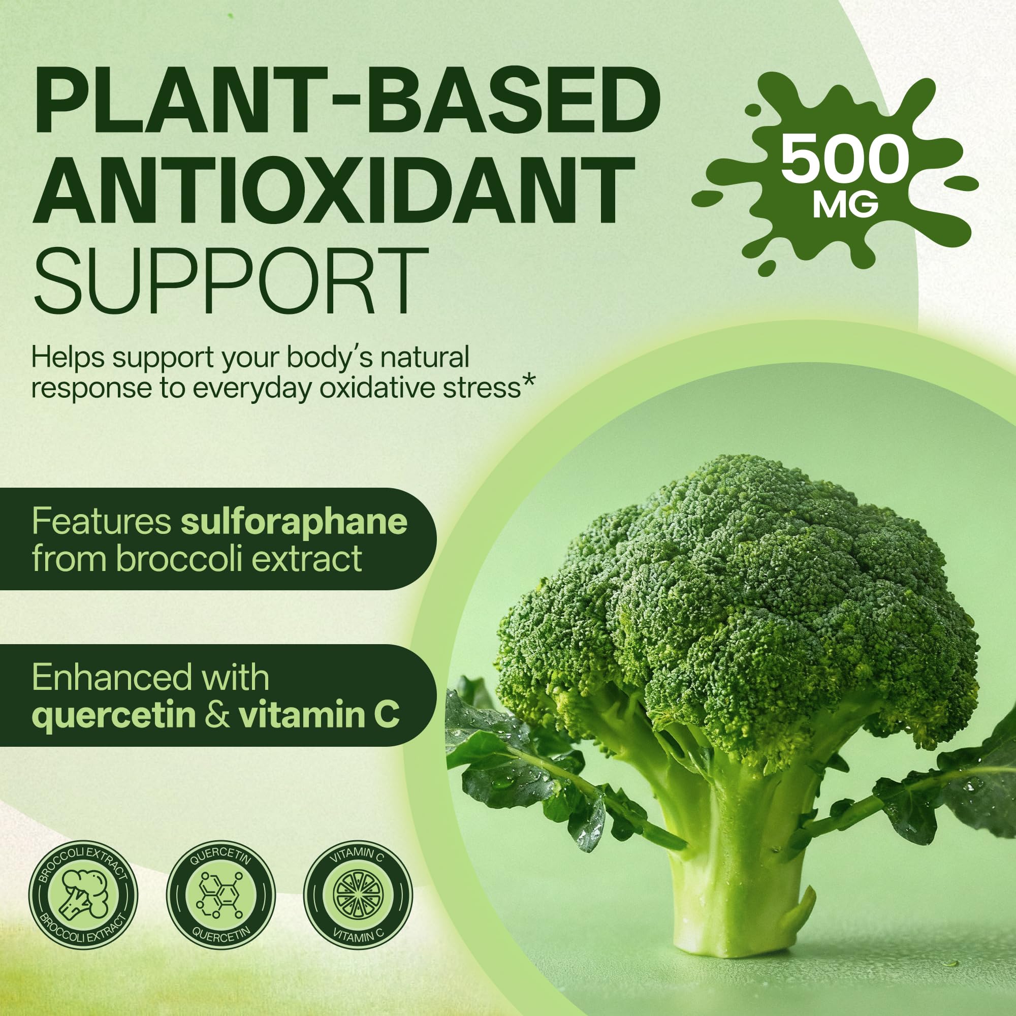Liposomal Sulforaphane 500mg Supplement from Broccoli Extract with Quercetin, Black Pepper & Vitamin C – Antioxidant, Detox & Cellular Support, Cellular Health Formula for Men & Women, 60 Capsules inGreens Au supplements
