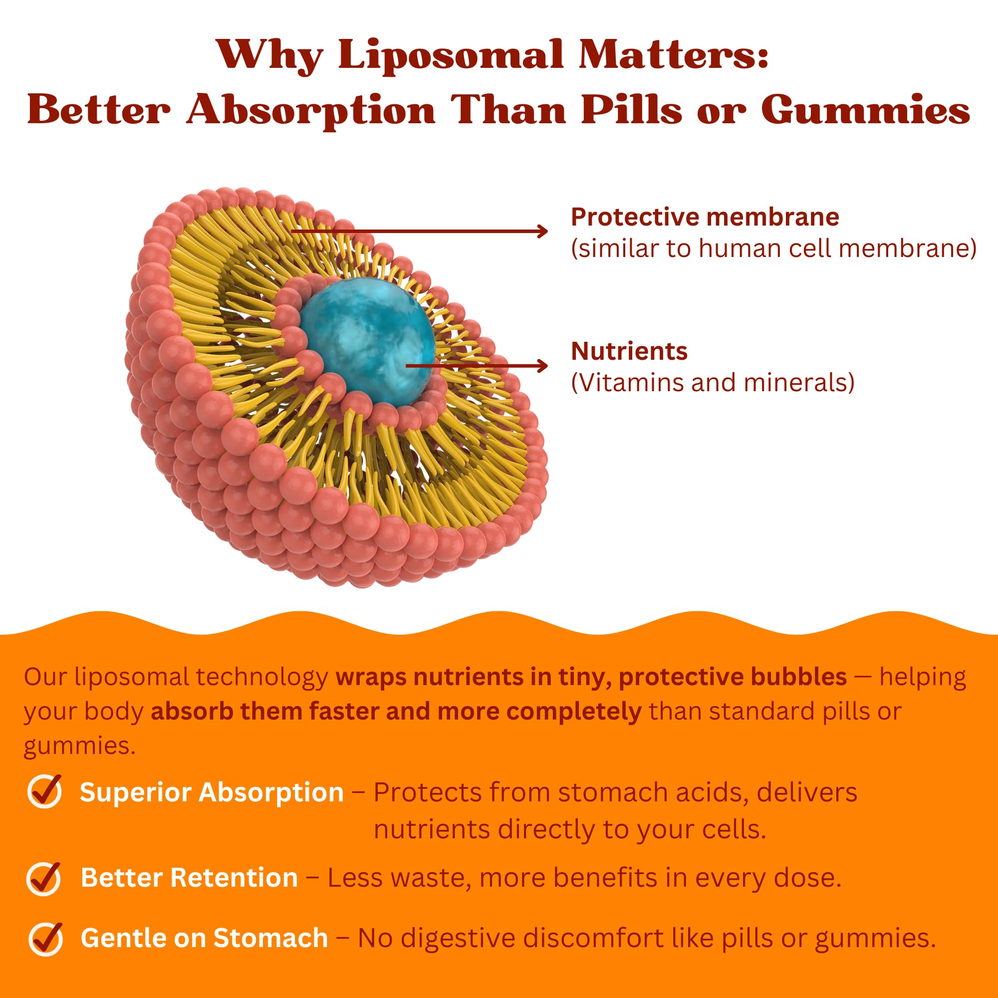 Vitaminally Women’s 50+ Liposomal Liquid Multivitamin – 16 Essential Vitamins & Minerals for Energy, Bone & Immune Support