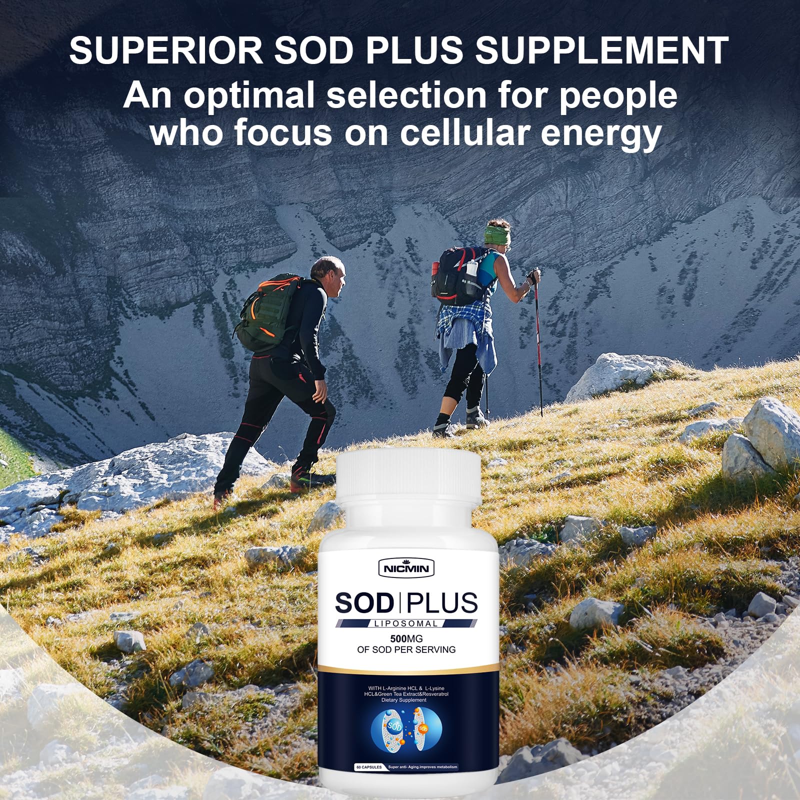 NICMIN 500MG Superoxide Dismutase Supplement - SOD Plus with Liposomal Glutathione, AKG, Green Tea Extract, L-Arginine, Lysine, Resveratrol and Vitamin E for Immune Support, Antioxidant 120 Capsules NICMIN Au supplements